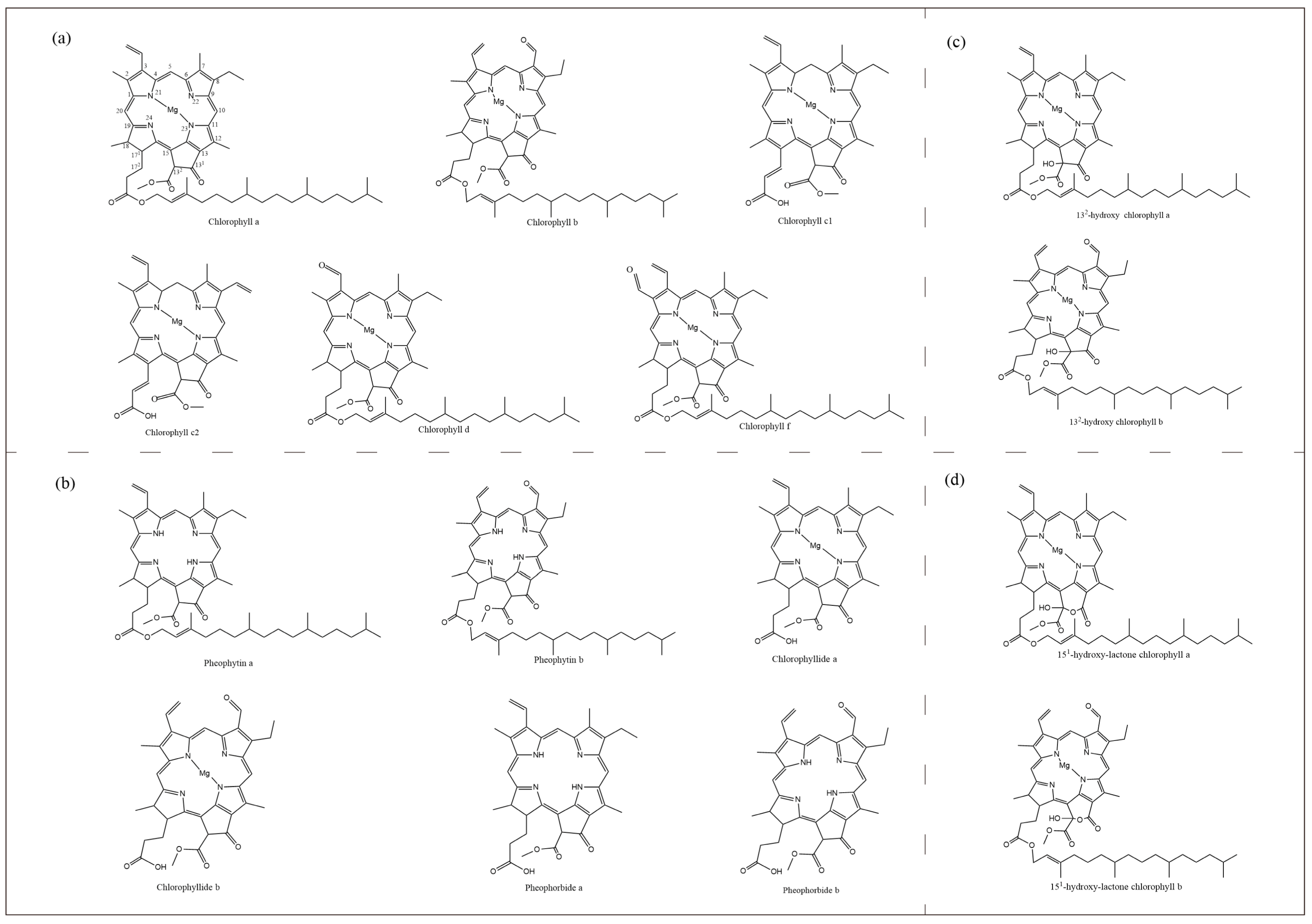 Marinedrugs 22 00065 g001