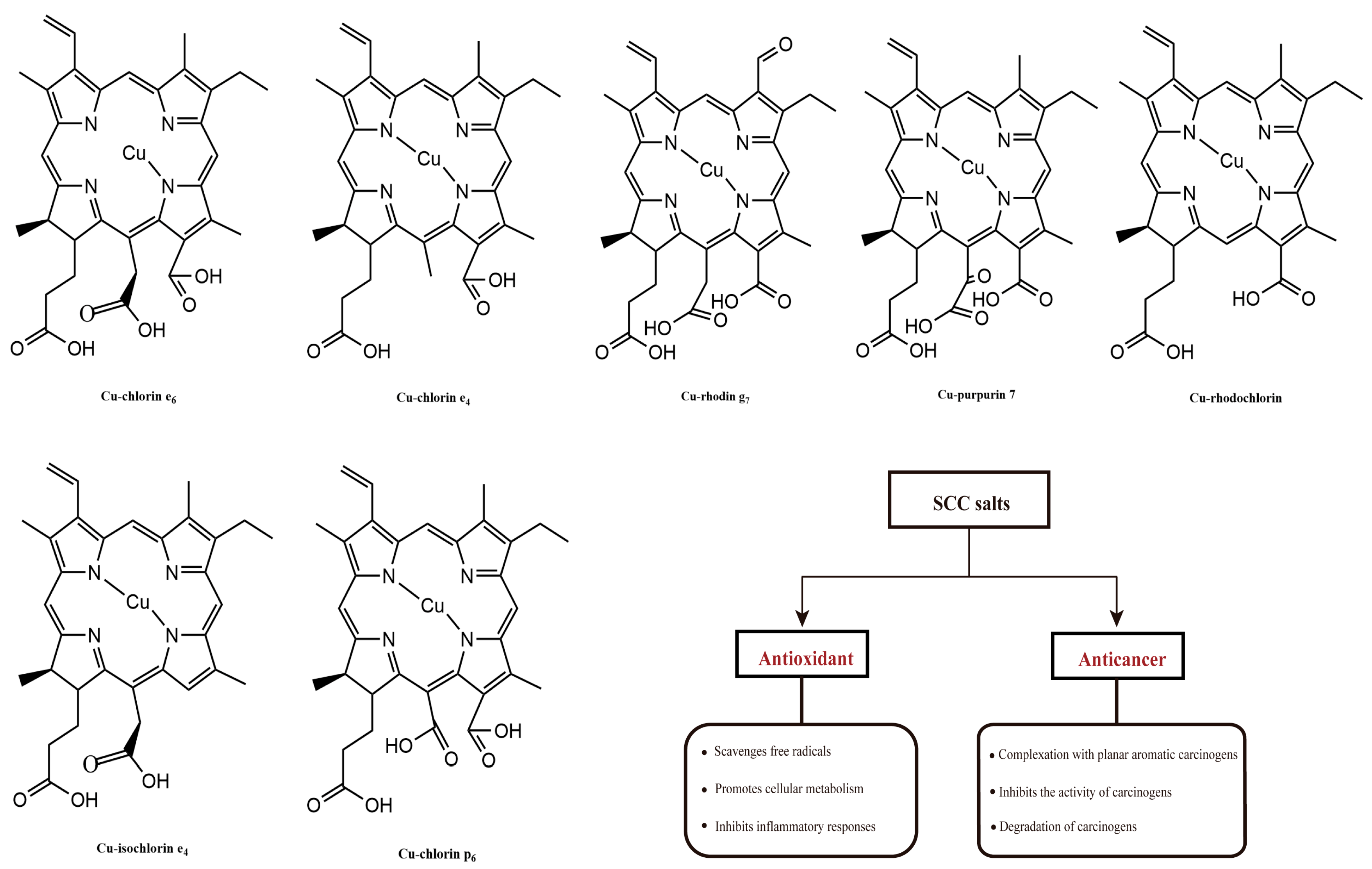 Marinedrugs 22 00065 g005
