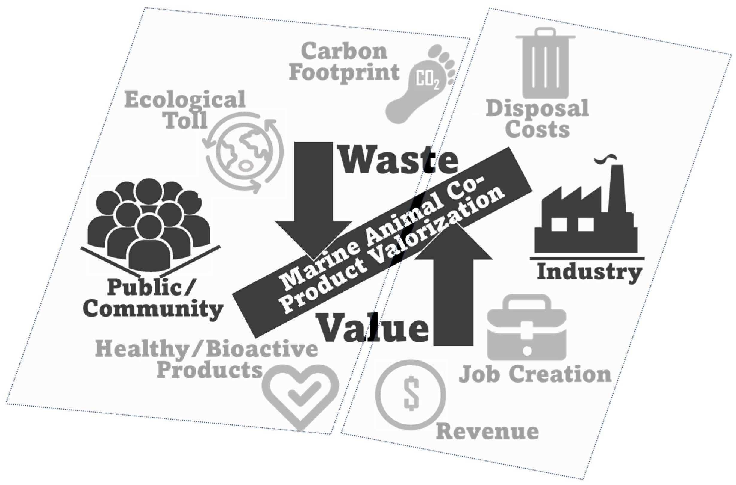 Marinedrugs 22 00073 g006