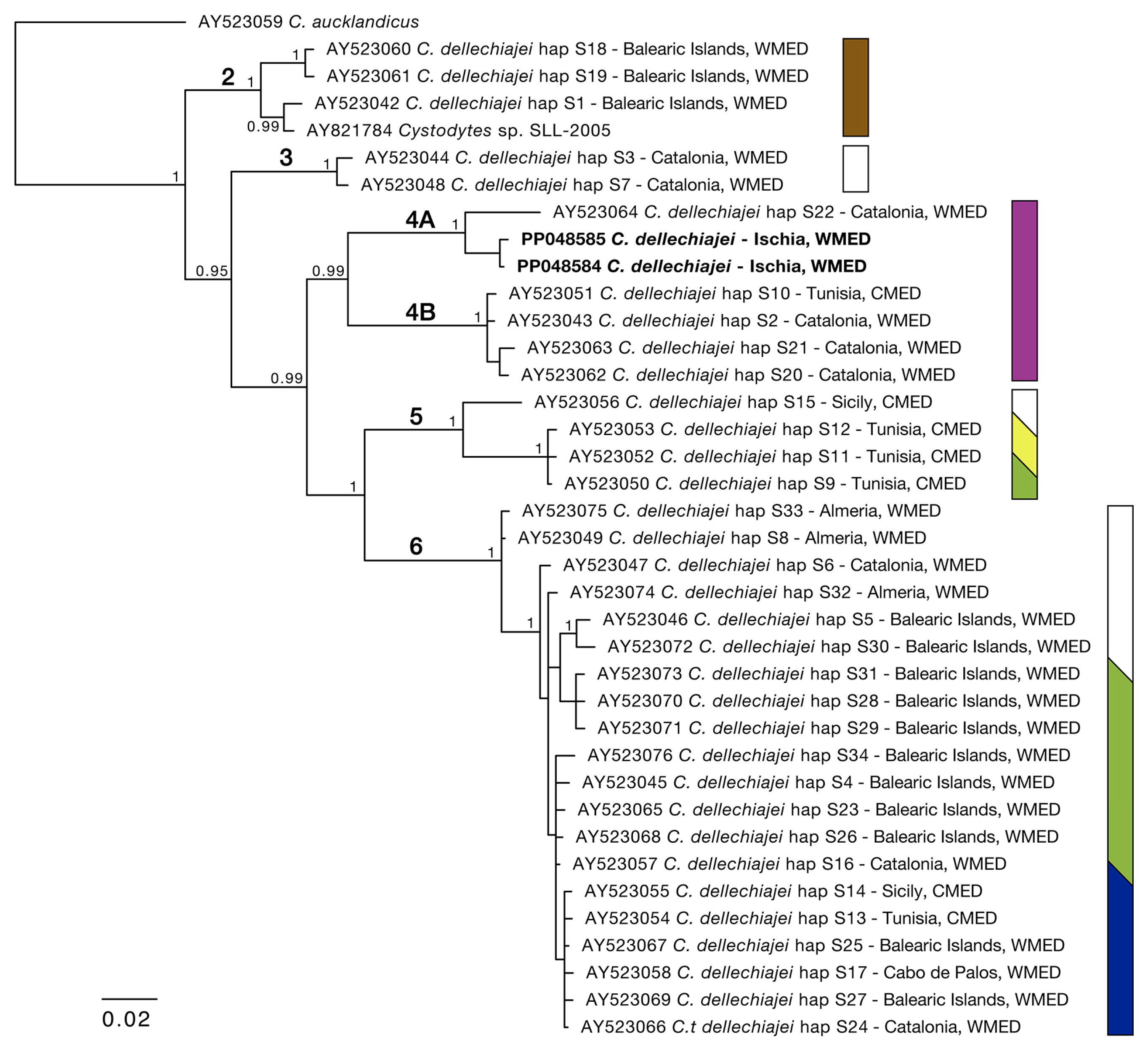 Marinedrugs 22 00075 g002 Marinedrugs 22 00075 g002