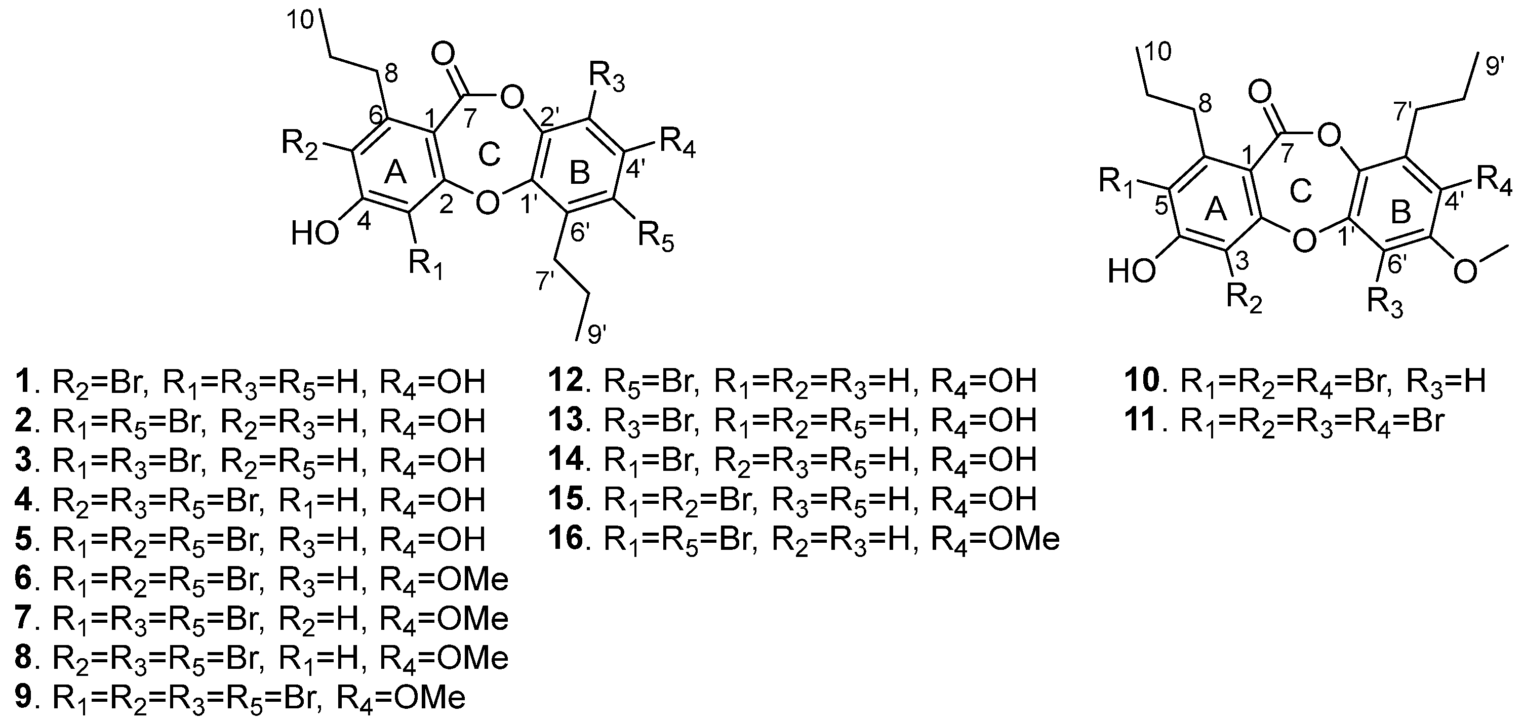 Marinedrugs 22 00078 g001