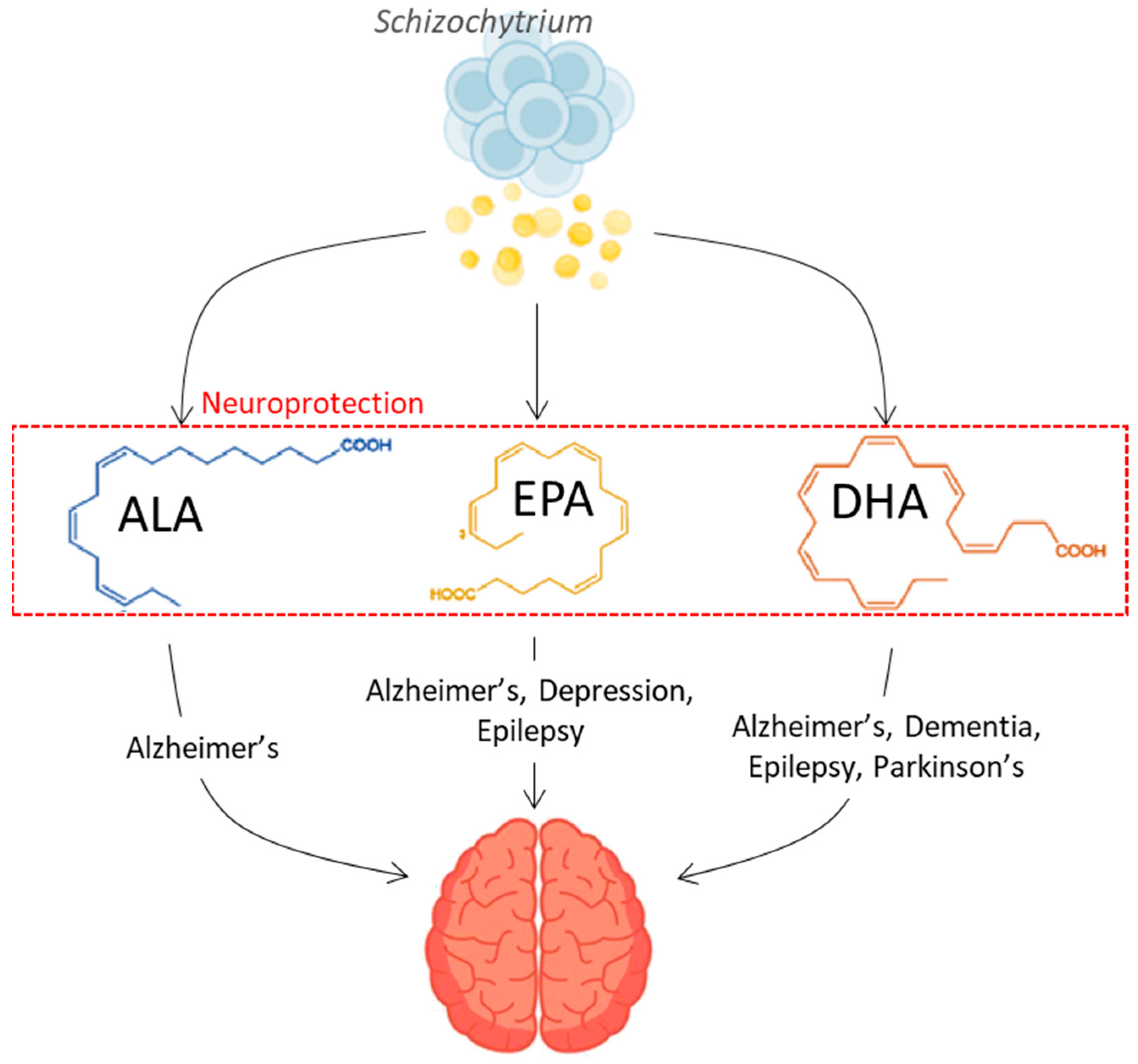 Marinedrugs 22 00080 g001 Marinedrugs 22 00080 g001