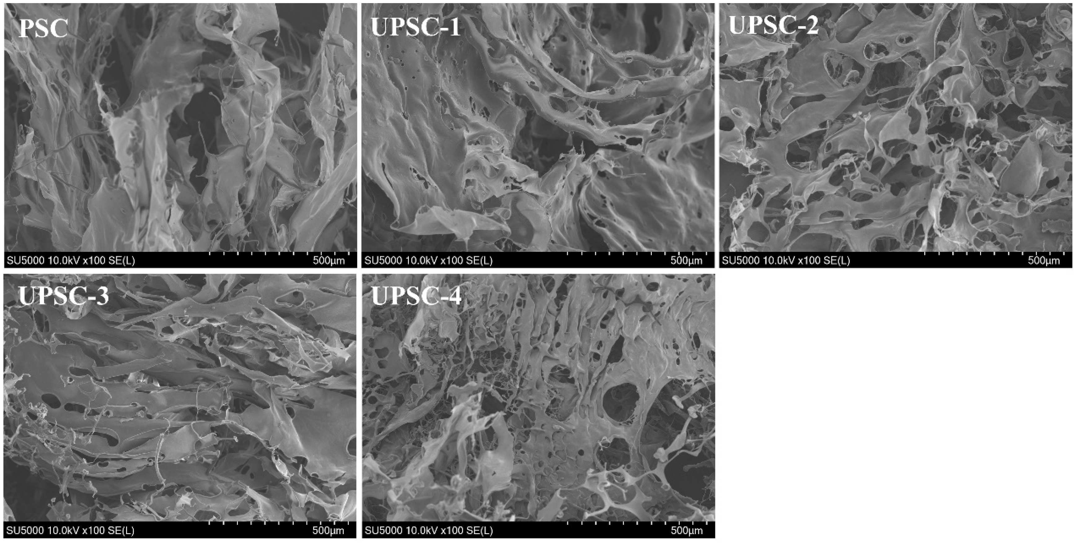 Marinedrugs 22 00084 g003