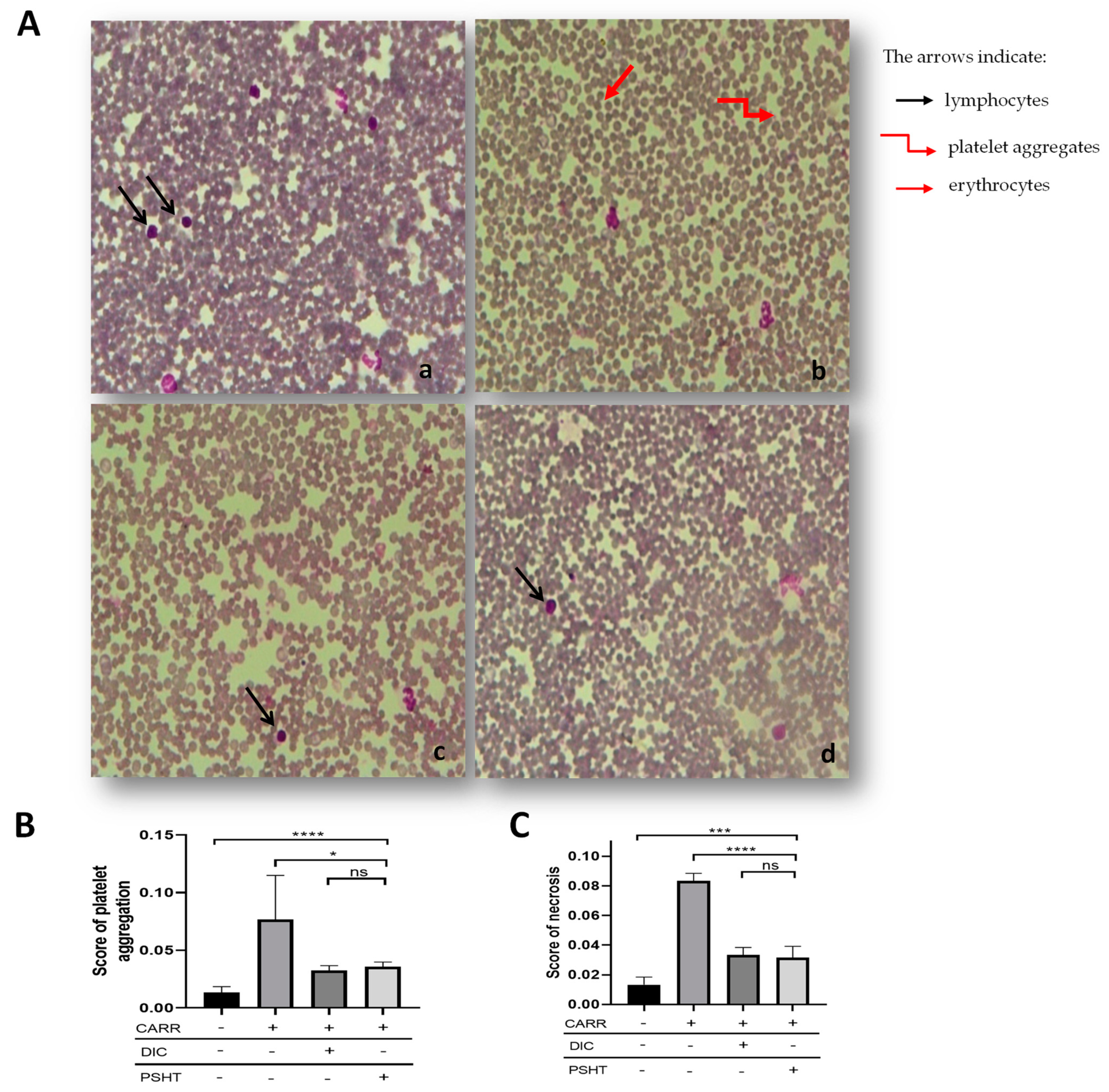 Marinedrugs 22 00085 g008