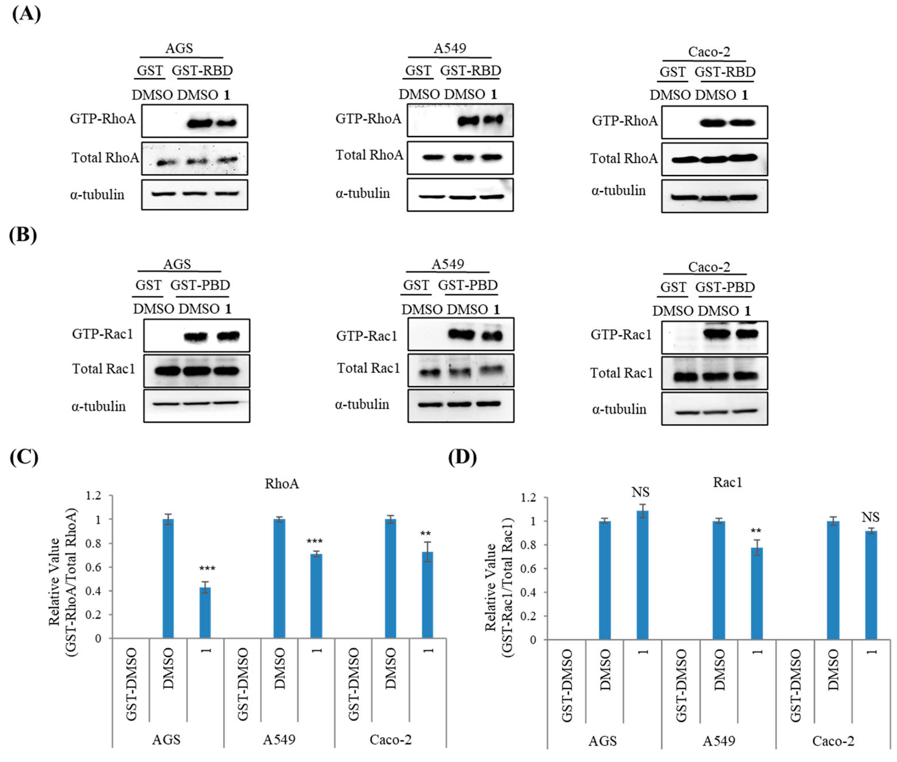 Marinedrugs 22 00088 g006