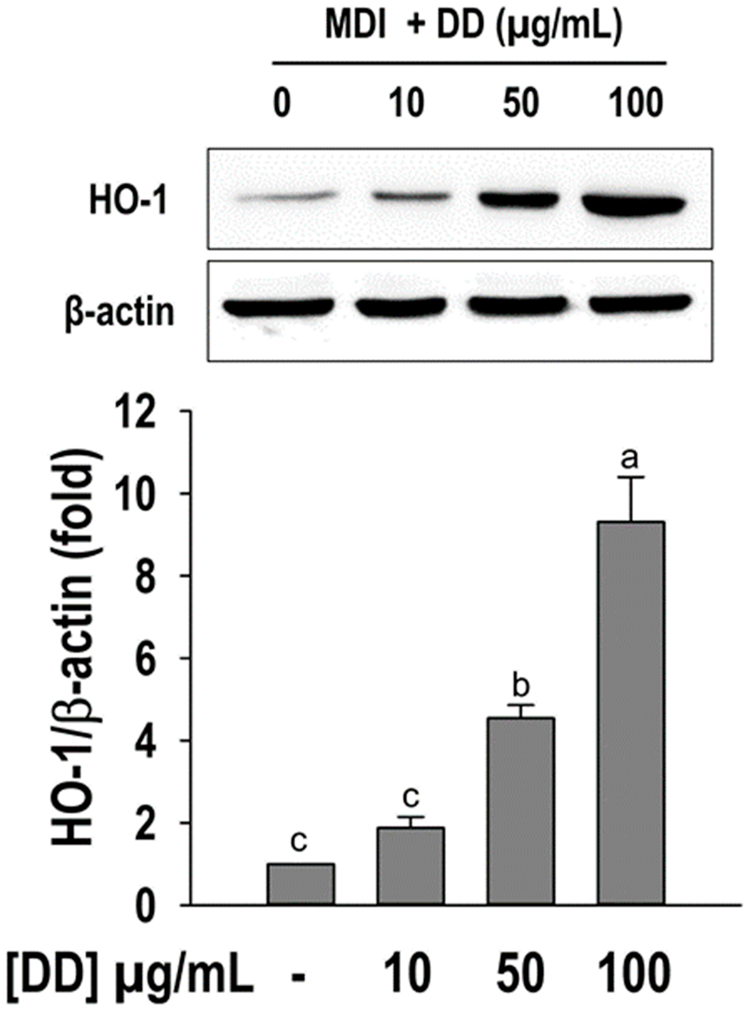 Marinedrugs 22 00091 g006 Marinedrugs 22 00091 g006