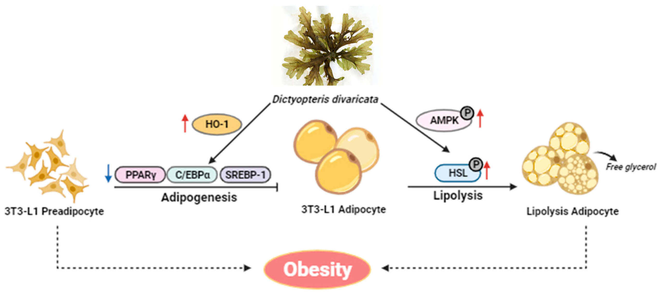 Marinedrugs 22 00091 g008 Marinedrugs 22 00091 g008