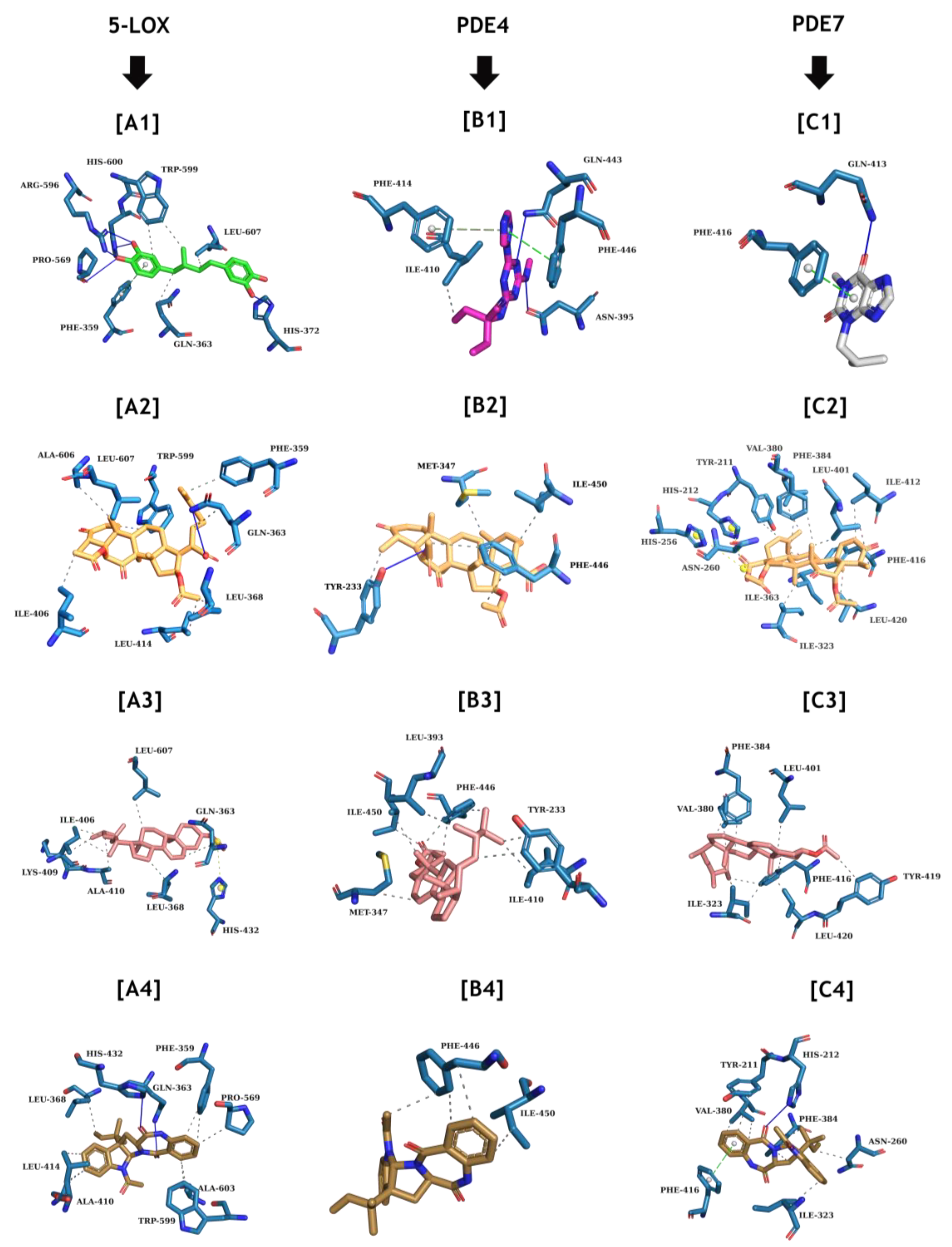 Marinedrugs 22 00097 g012