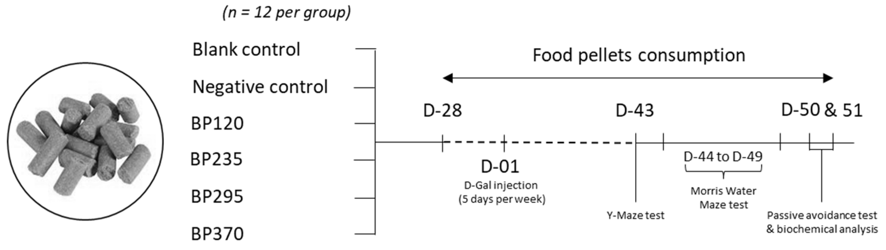Marinedrugs 22 00099 g006