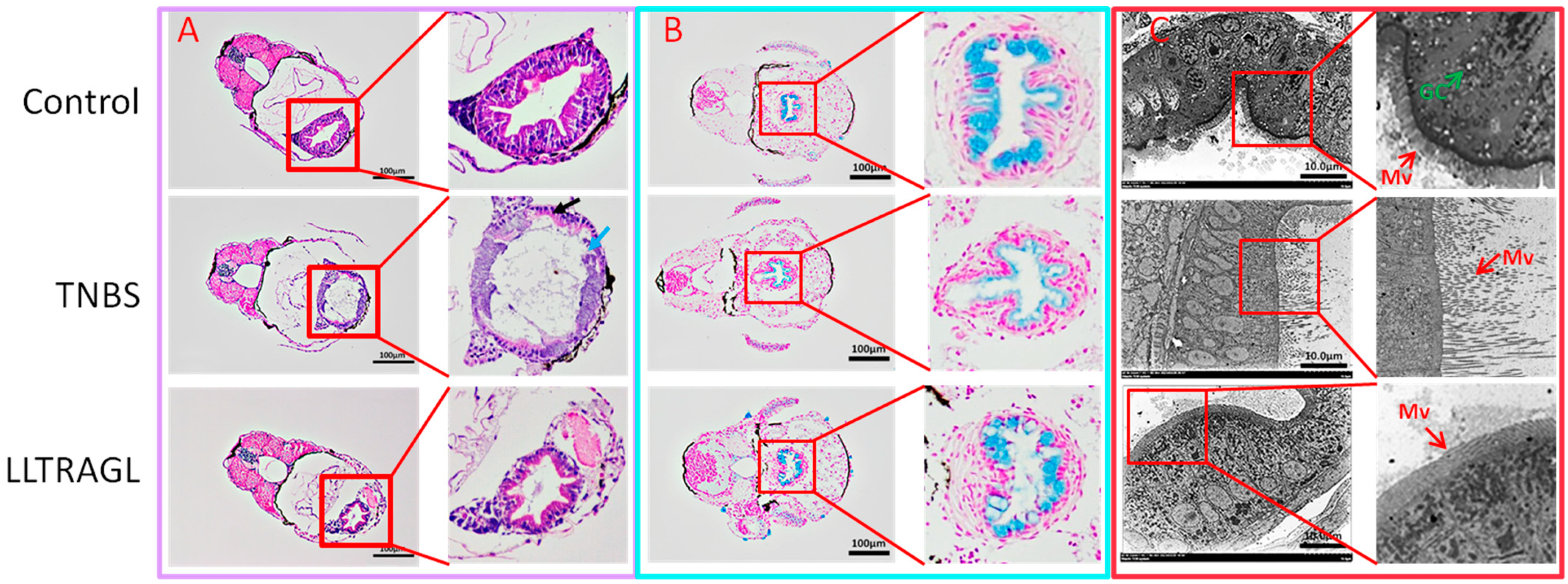 Marinedrugs 22 00100 g003 Marinedrugs 22 00100 g003
