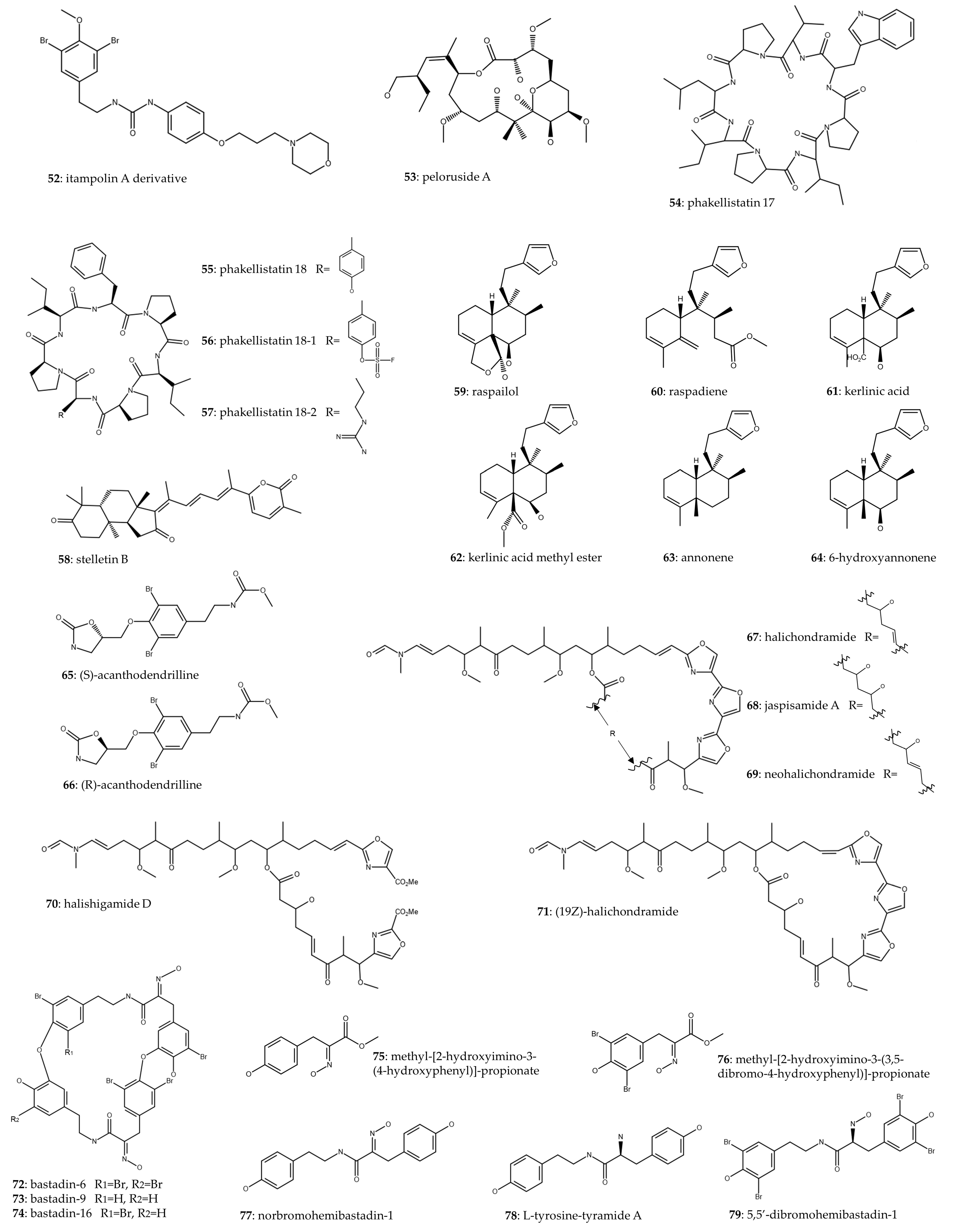 Marinedrugs 22 00101 g005