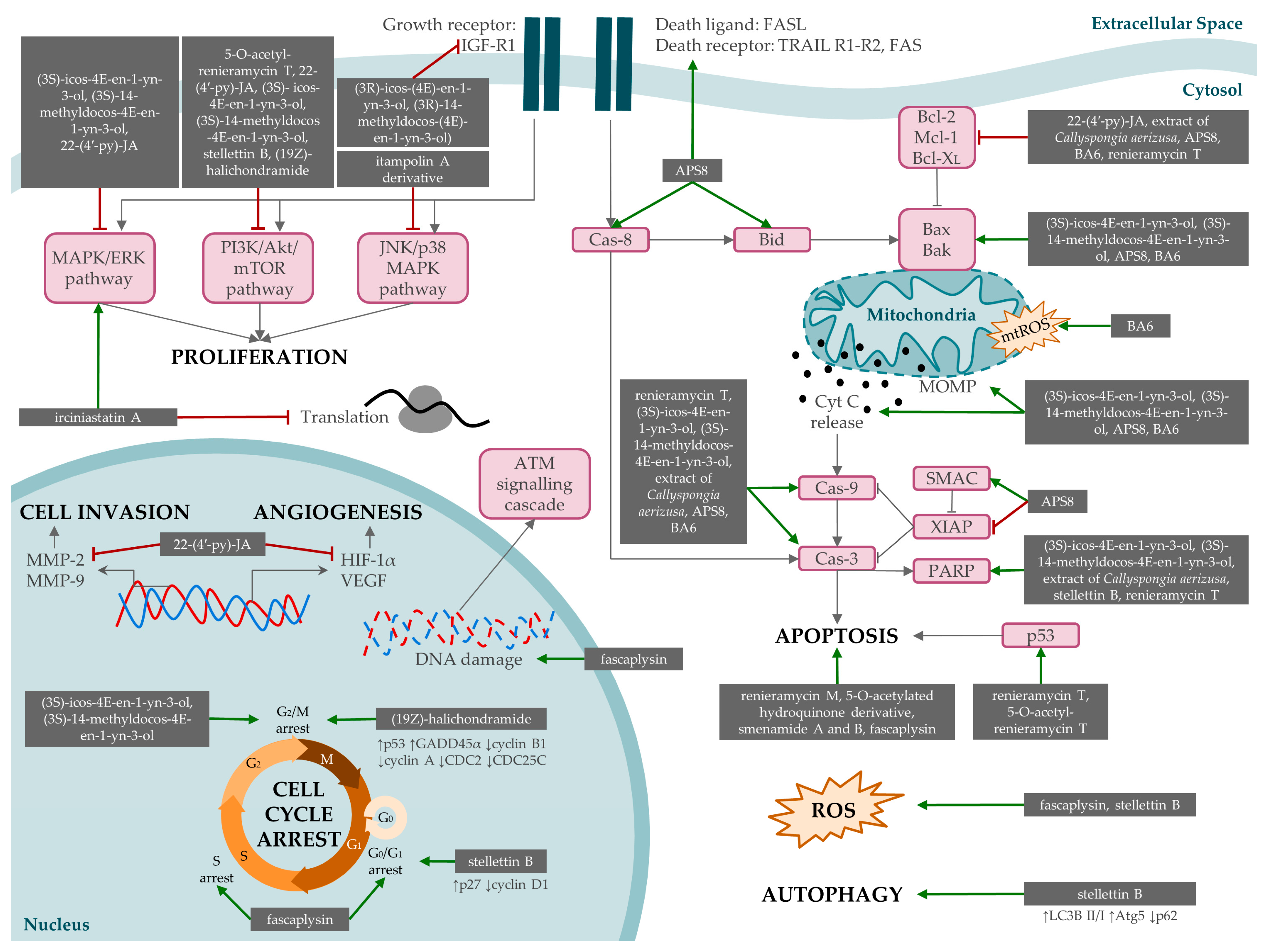 Marinedrugs 22 00101 g006