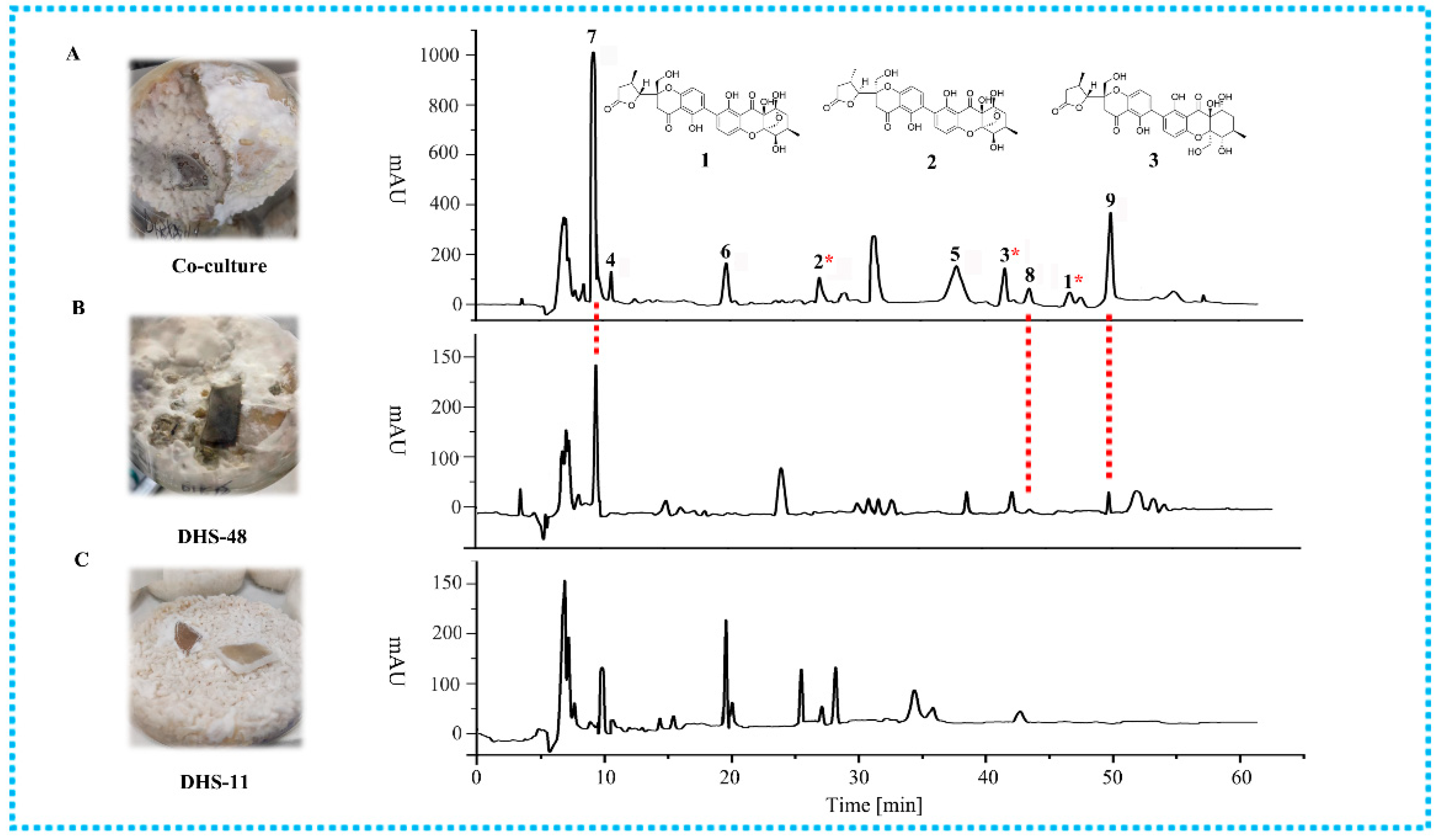 Marinedrugs 22 00102 g003