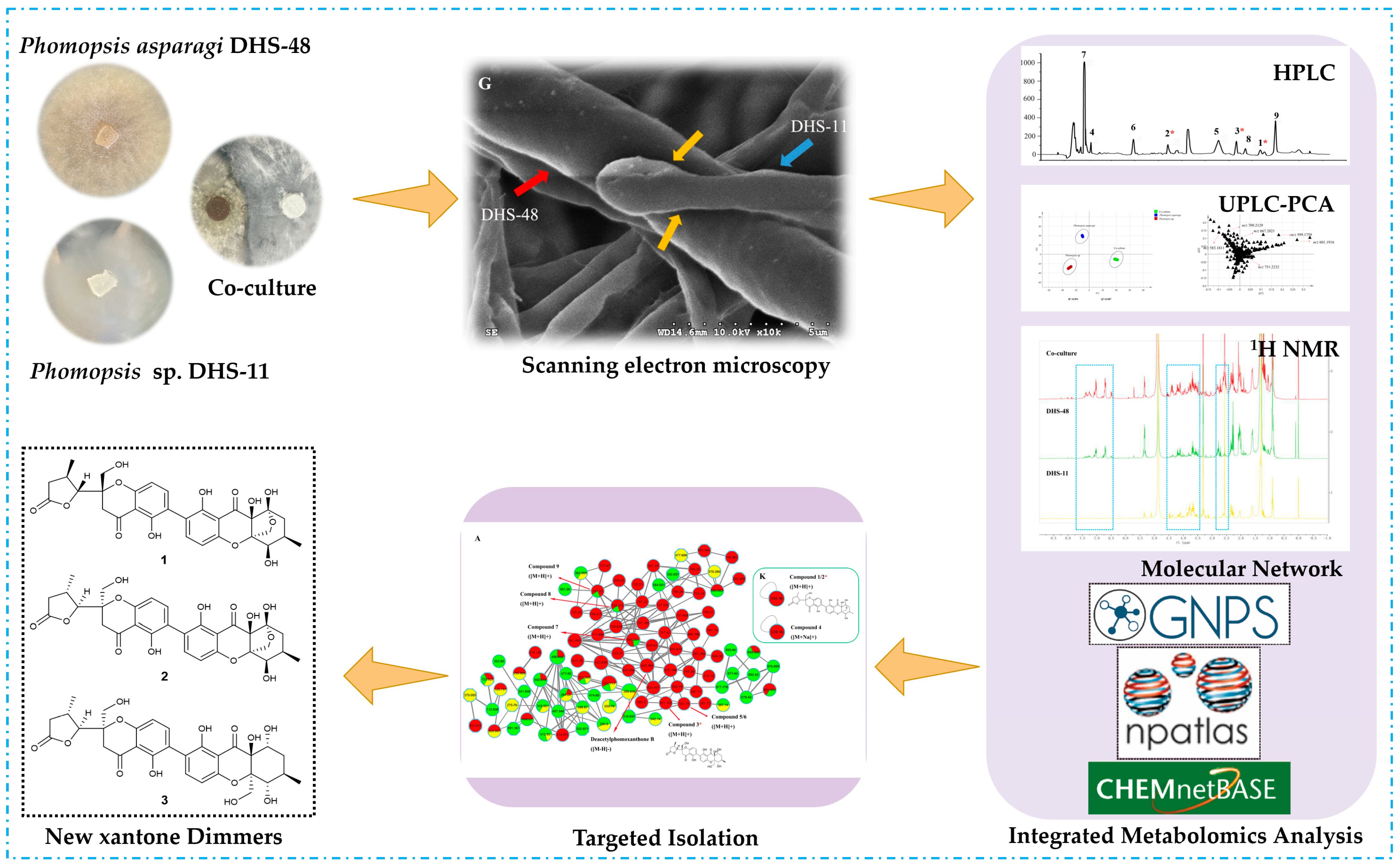 Marinedrugs 22 00102 sch001