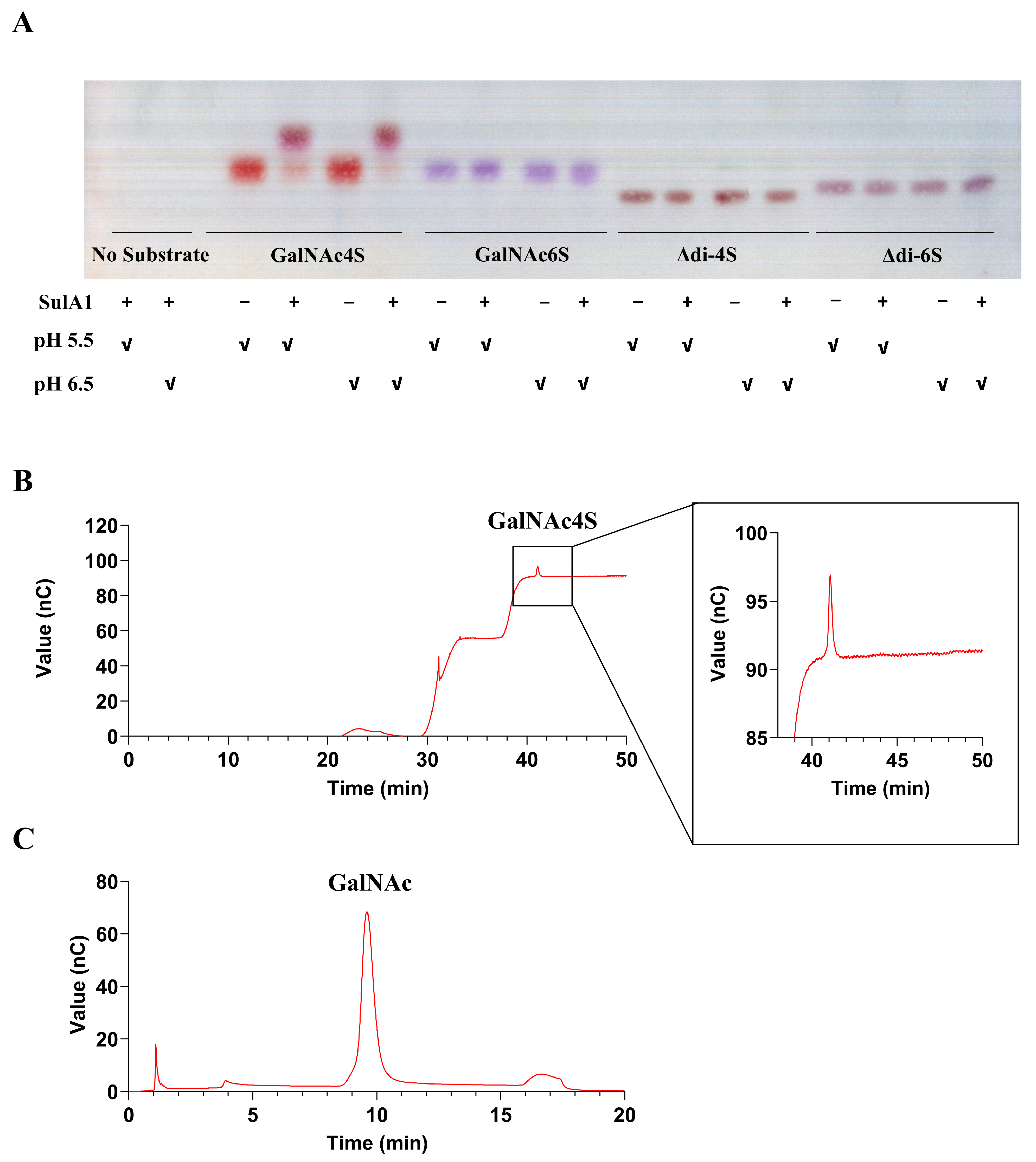 Marinedrugs 22 00104 g008