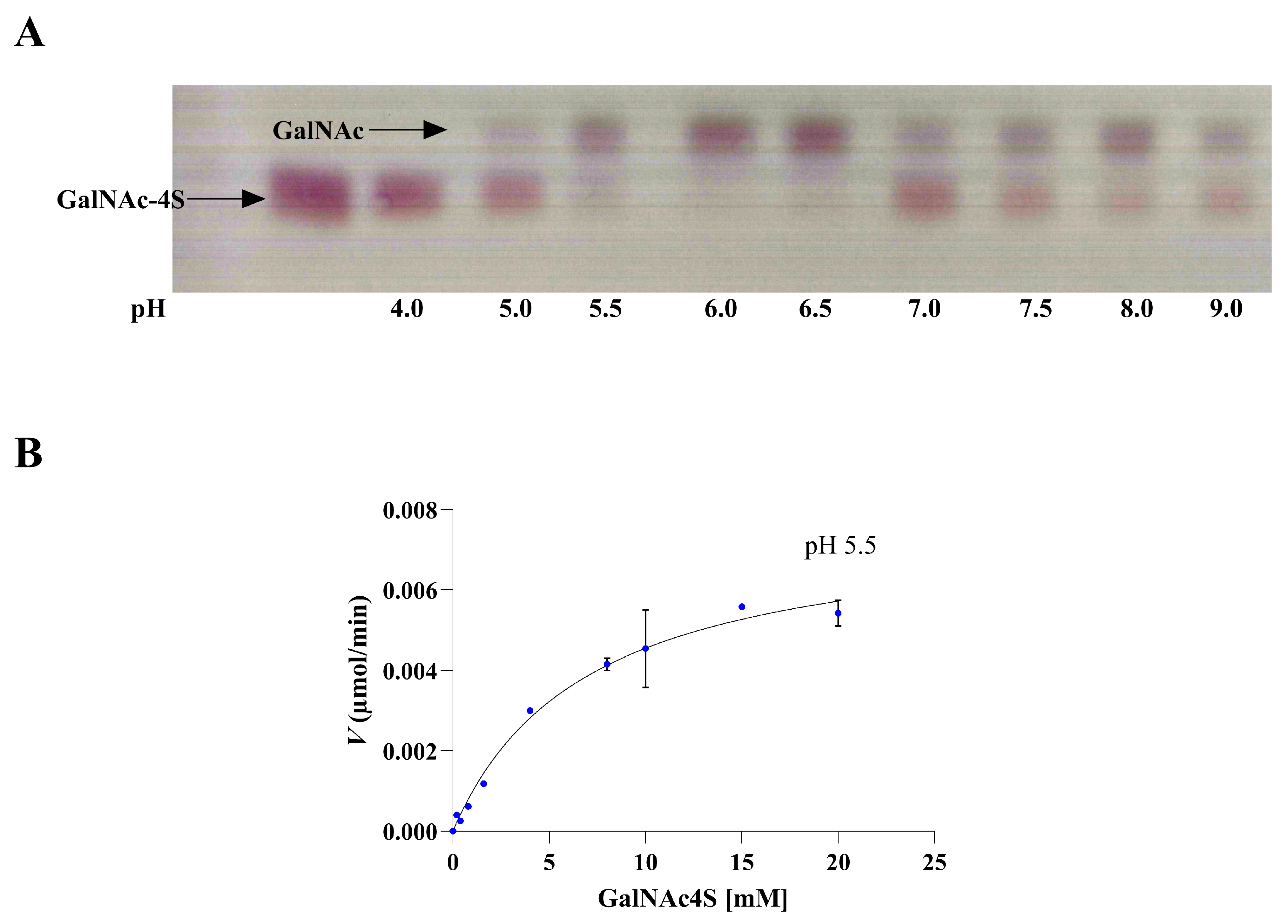Marinedrugs 22 00104 g009