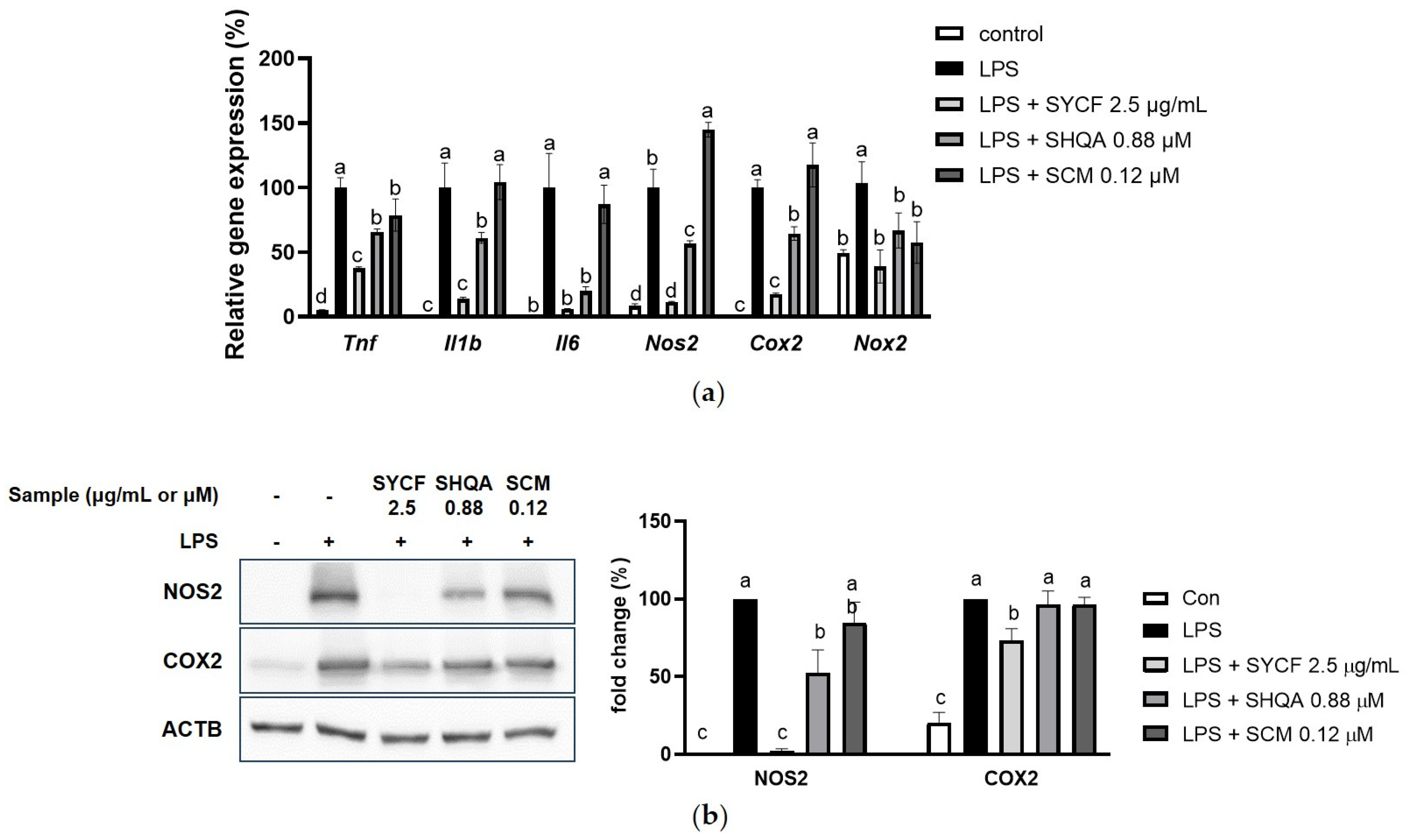 Marinedrugs 22 00107 g006