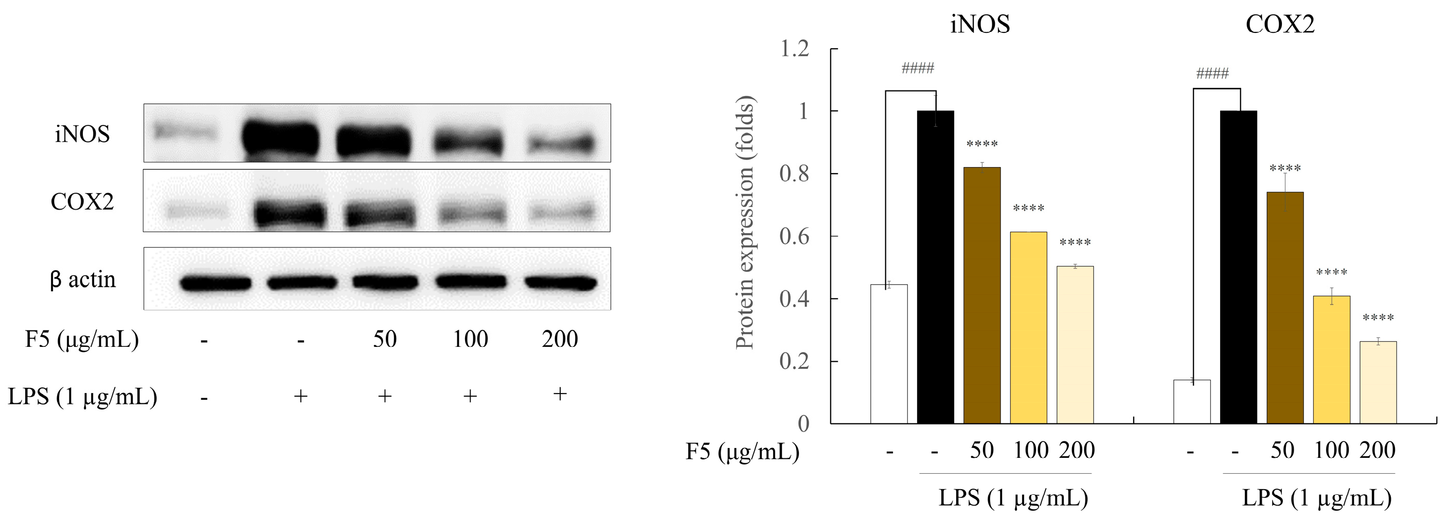 Marinedrugs 22 00109 g005