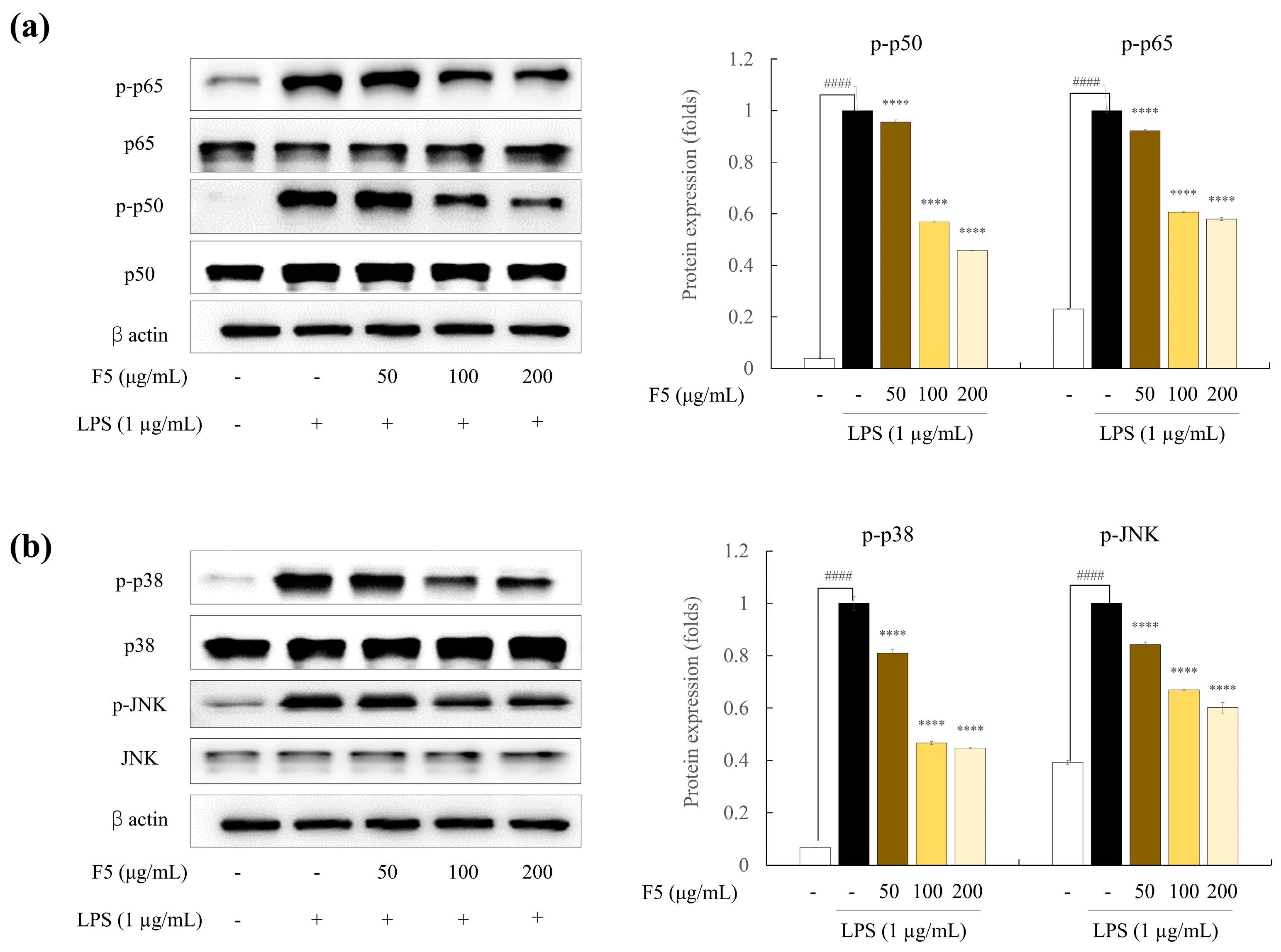 Marinedrugs 22 00109 g006