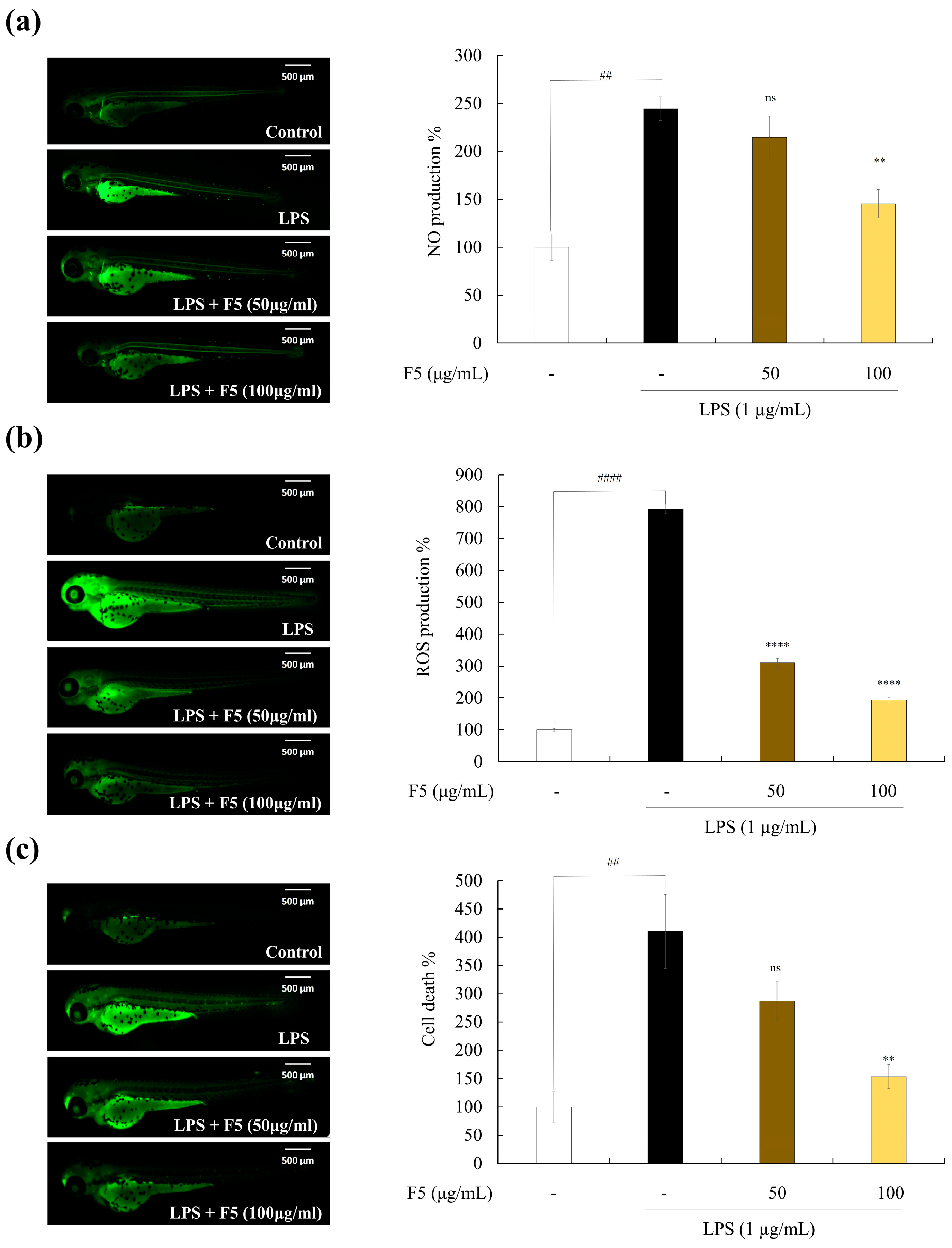 Marinedrugs 22 00109 g008