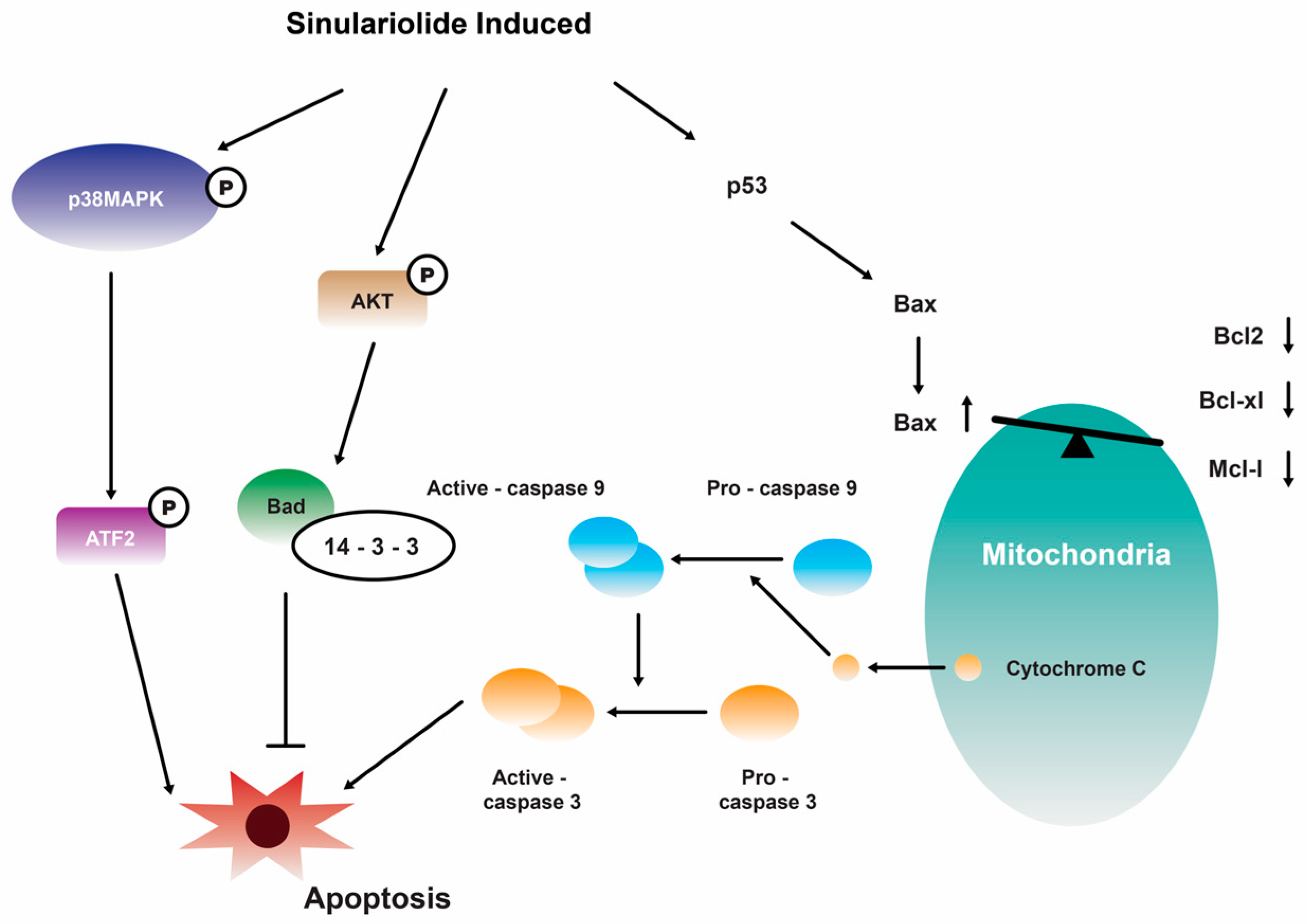 Marinedrugs 22 00114 g003