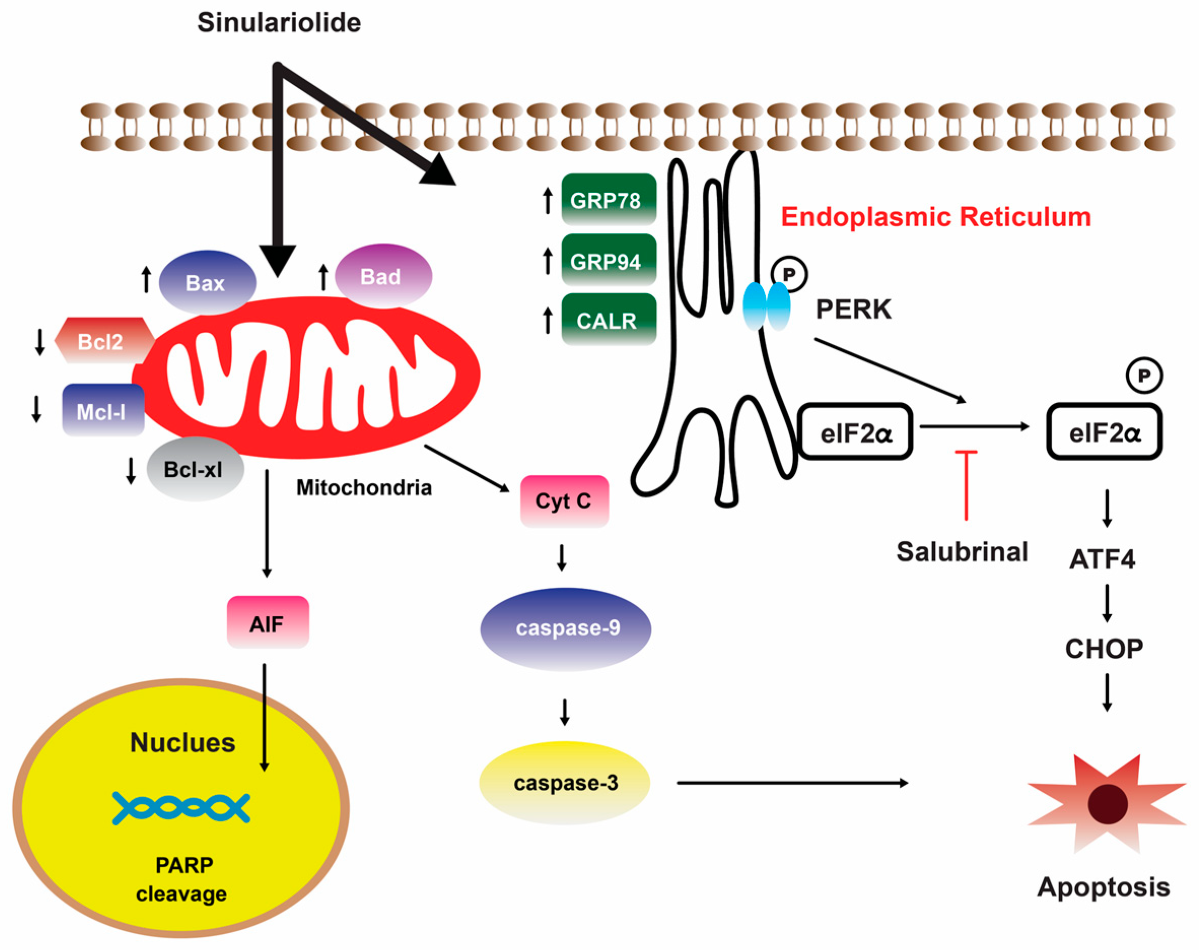 Marinedrugs 22 00114 g005