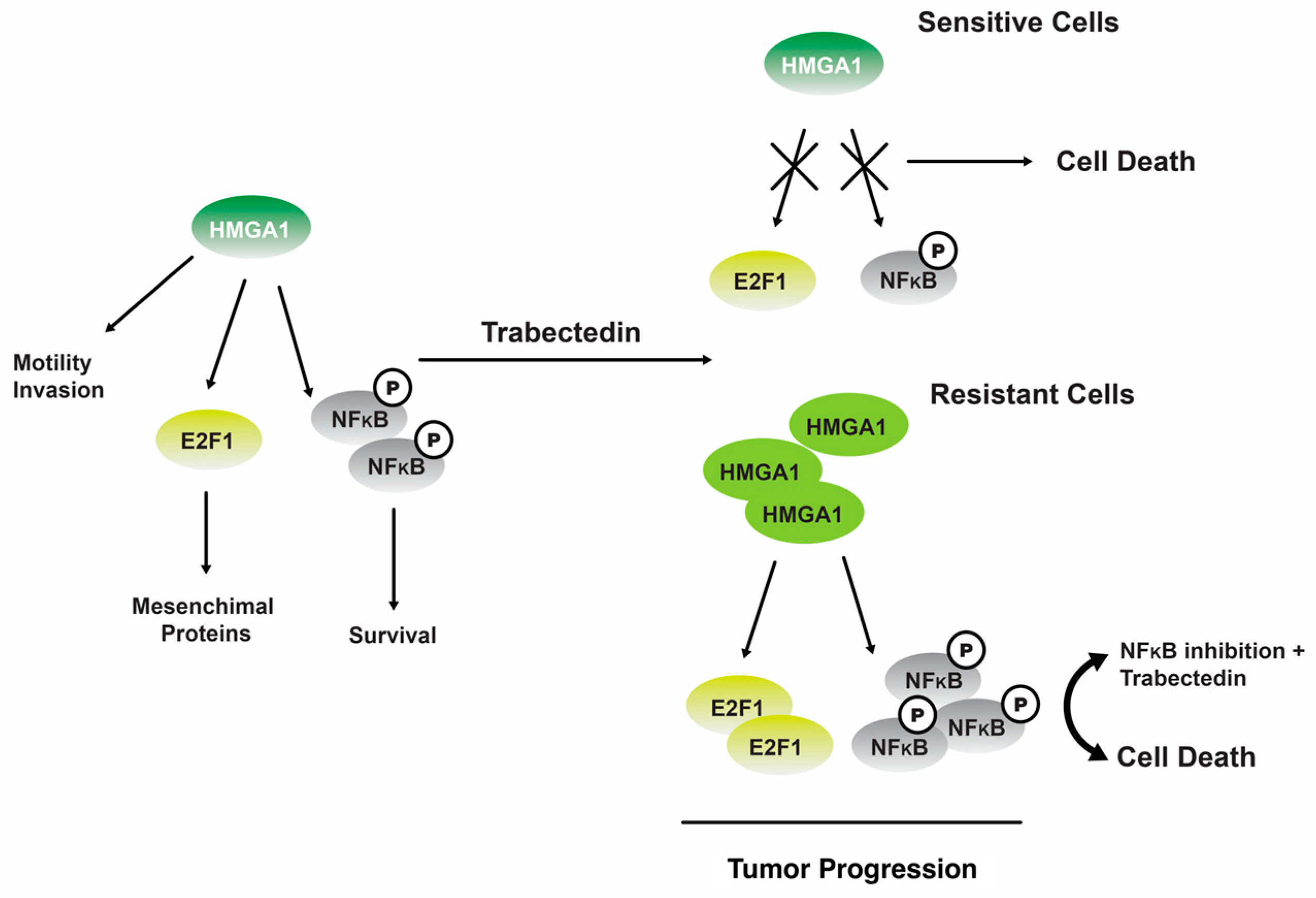 Marinedrugs 22 00114 g006