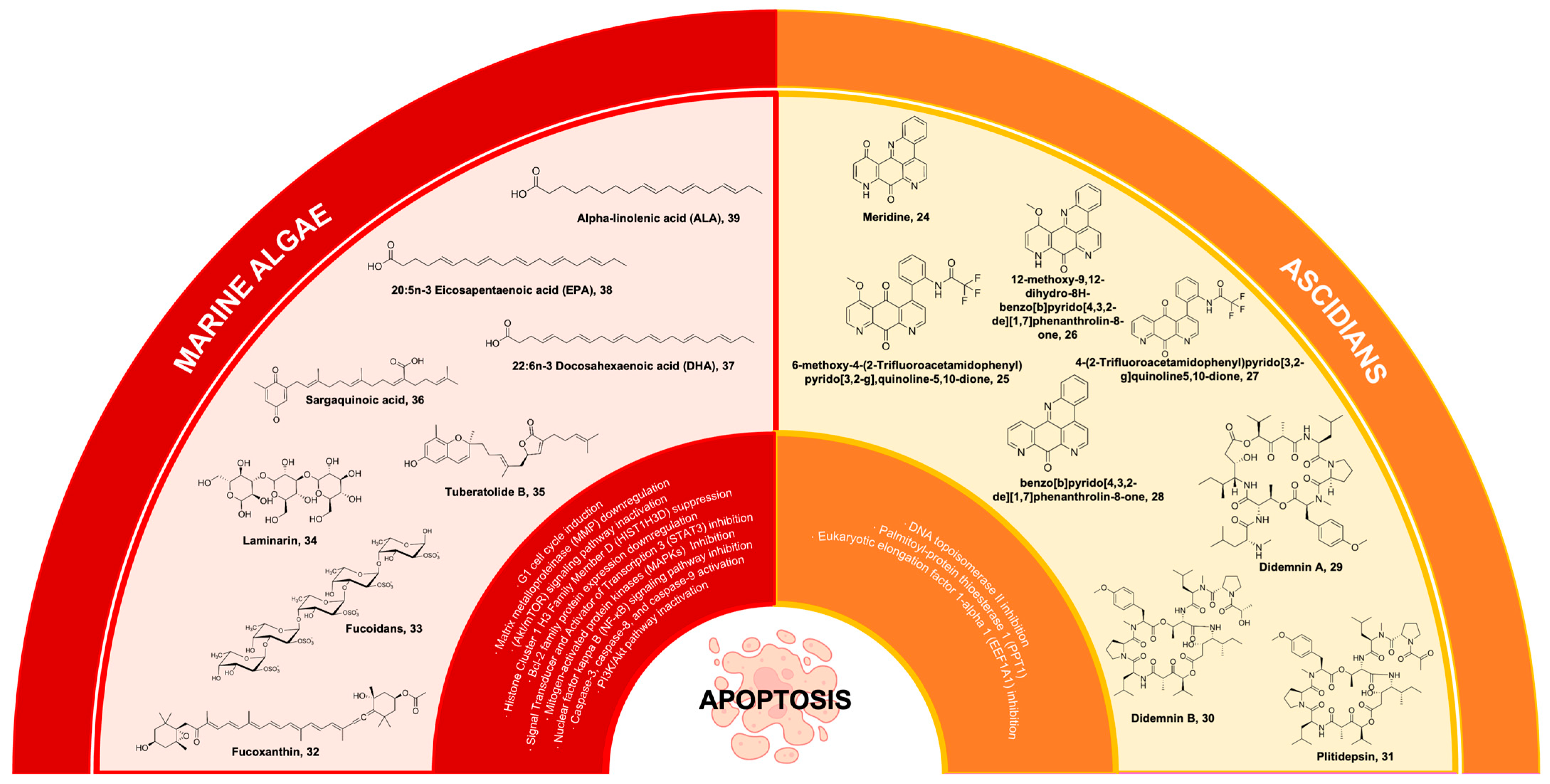 Marinedrugs 22 00114 g007