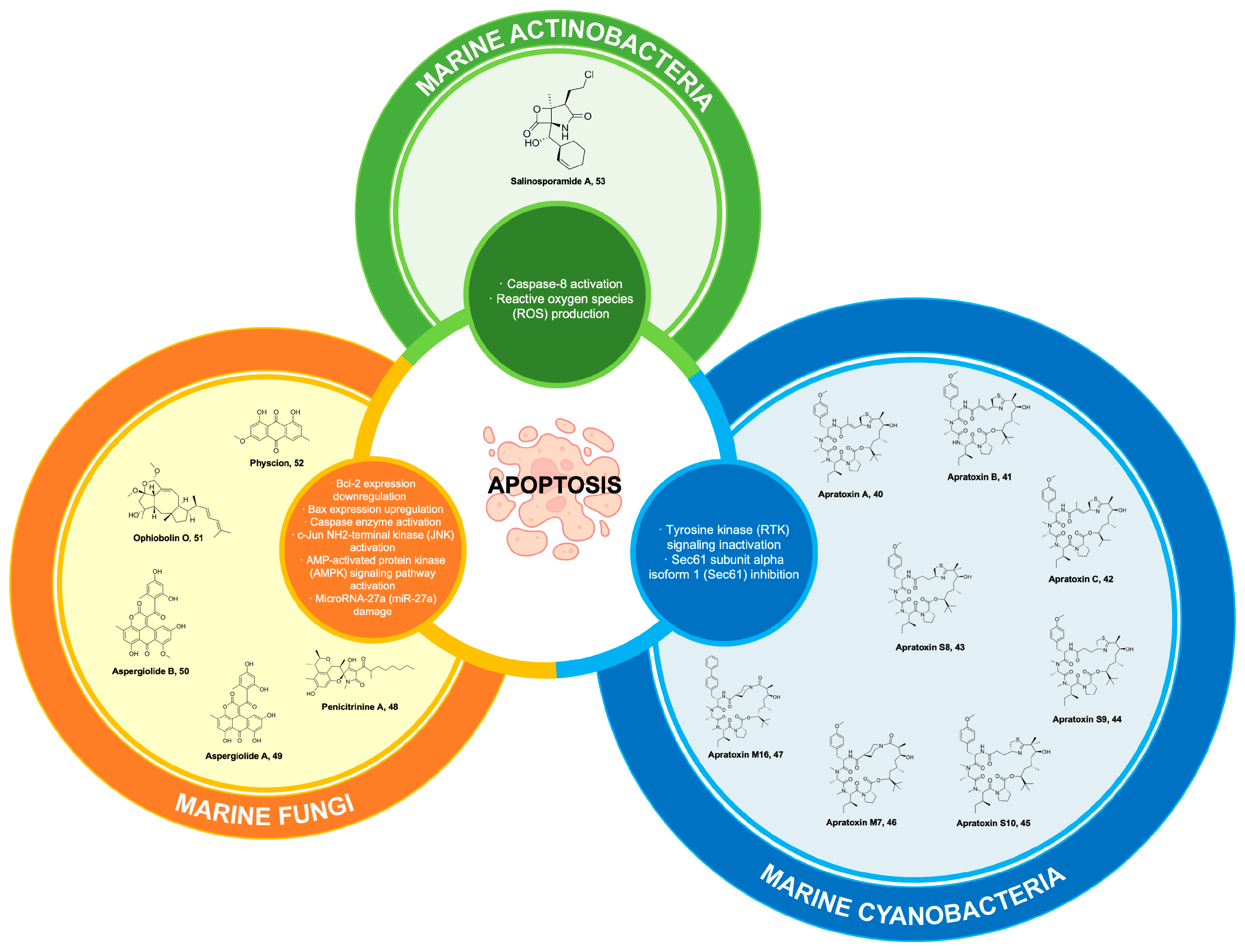Marinedrugs 22 00114 g008
