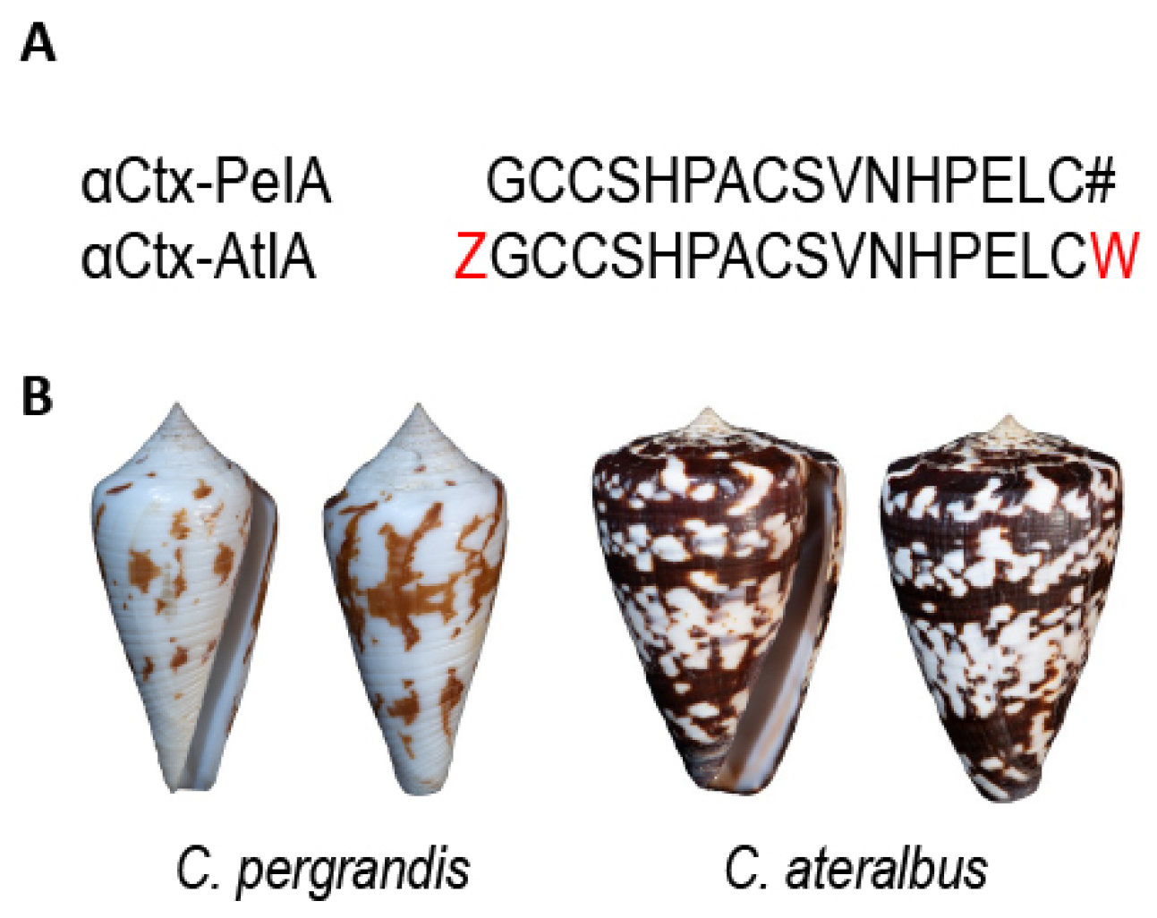 Marinedrugs 22 00118 g005