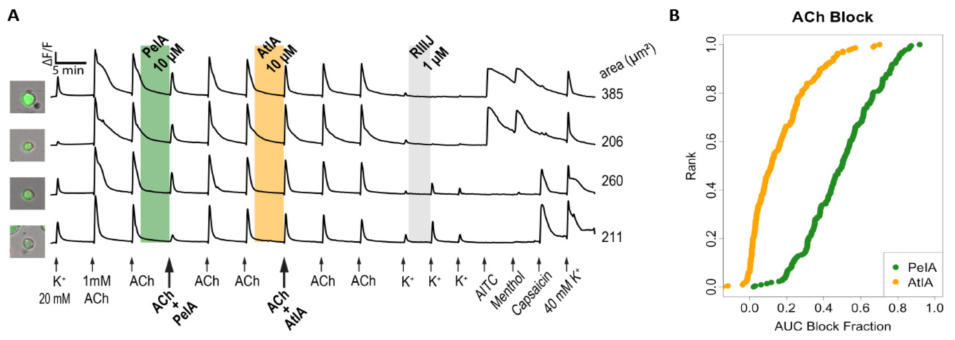 Marinedrugs 22 00118 g006