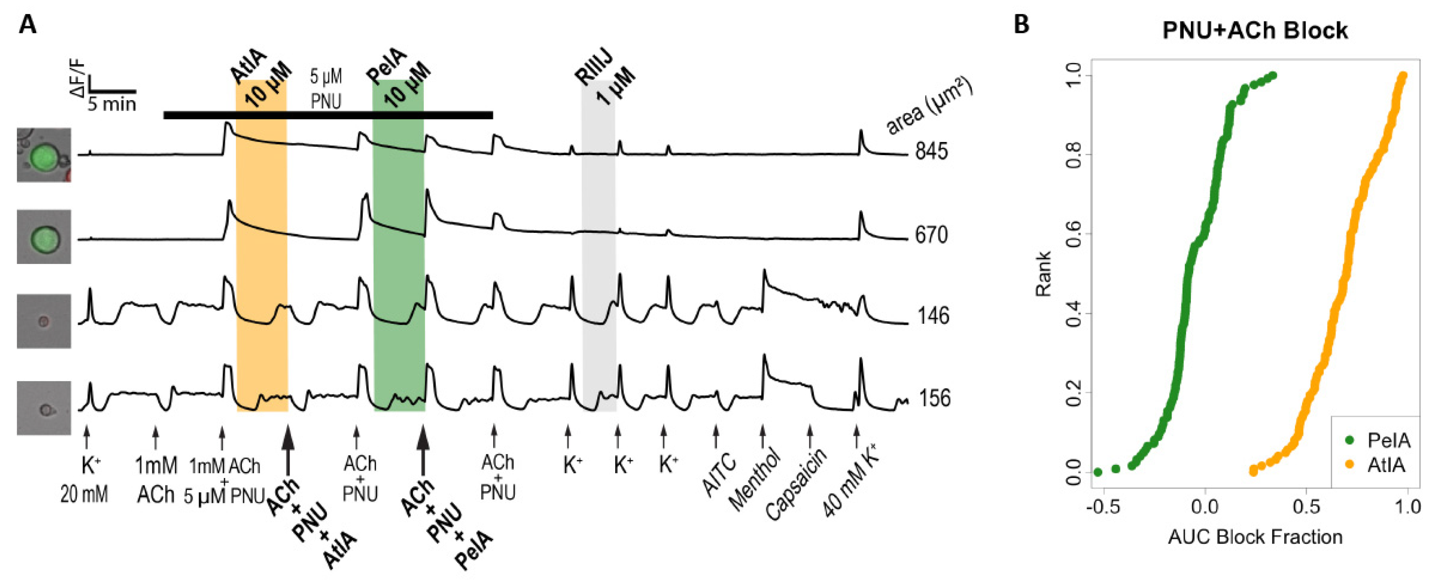 Marinedrugs 22 00118 g007