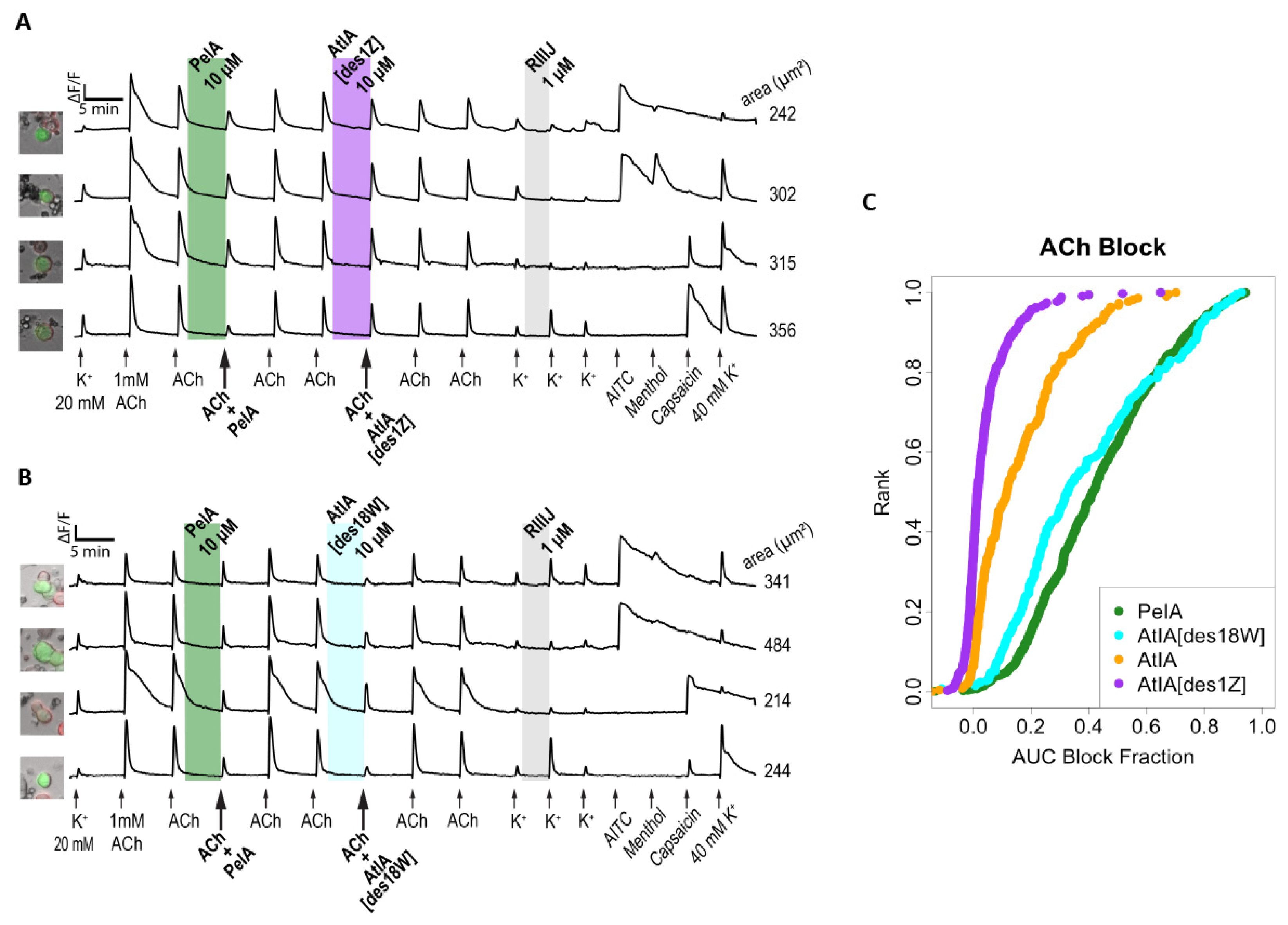 Marinedrugs 22 00118 g010