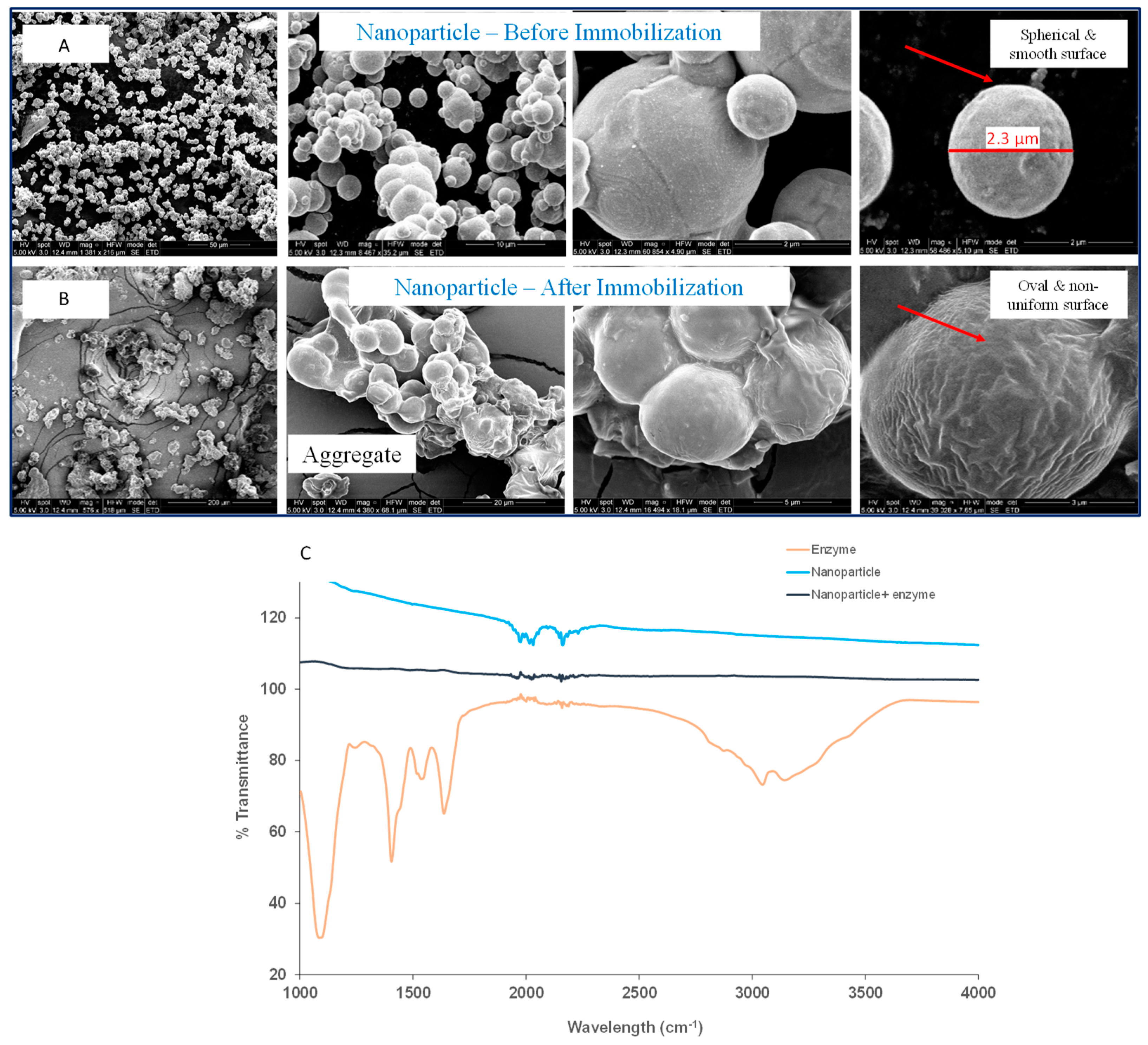 Marinedrugs 22 00120 g002