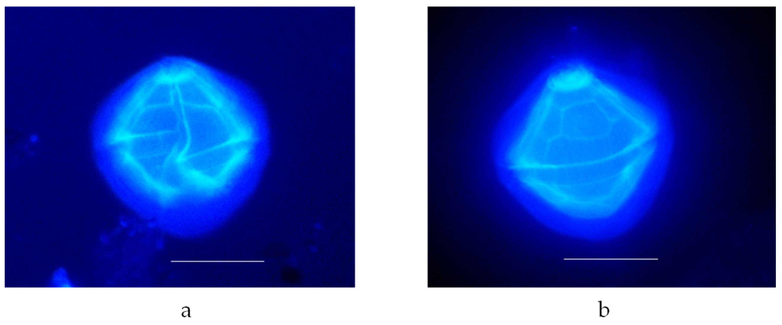 Marinedrugs 22 00122 g002