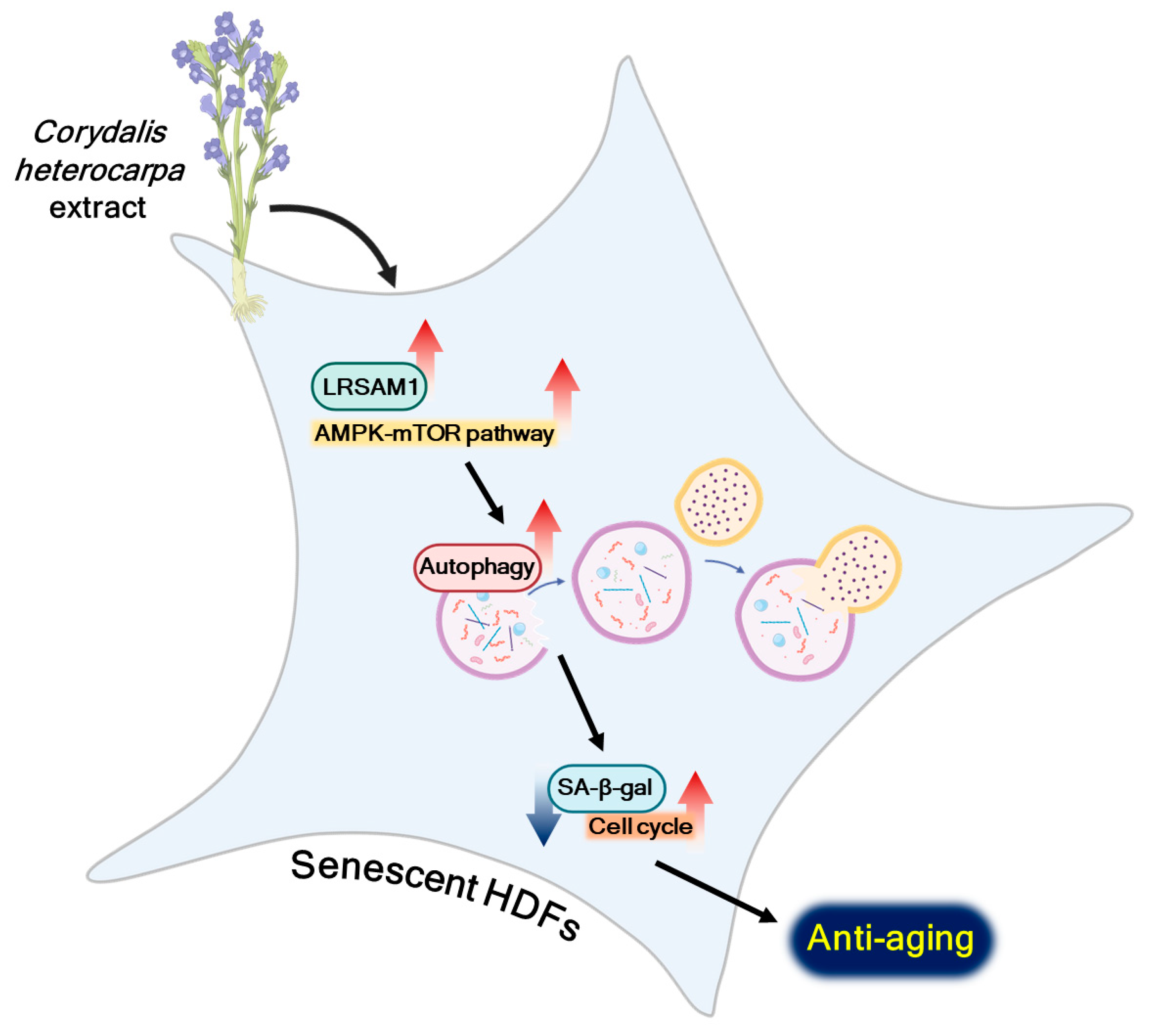 Marinedrugs 22 00127 g007