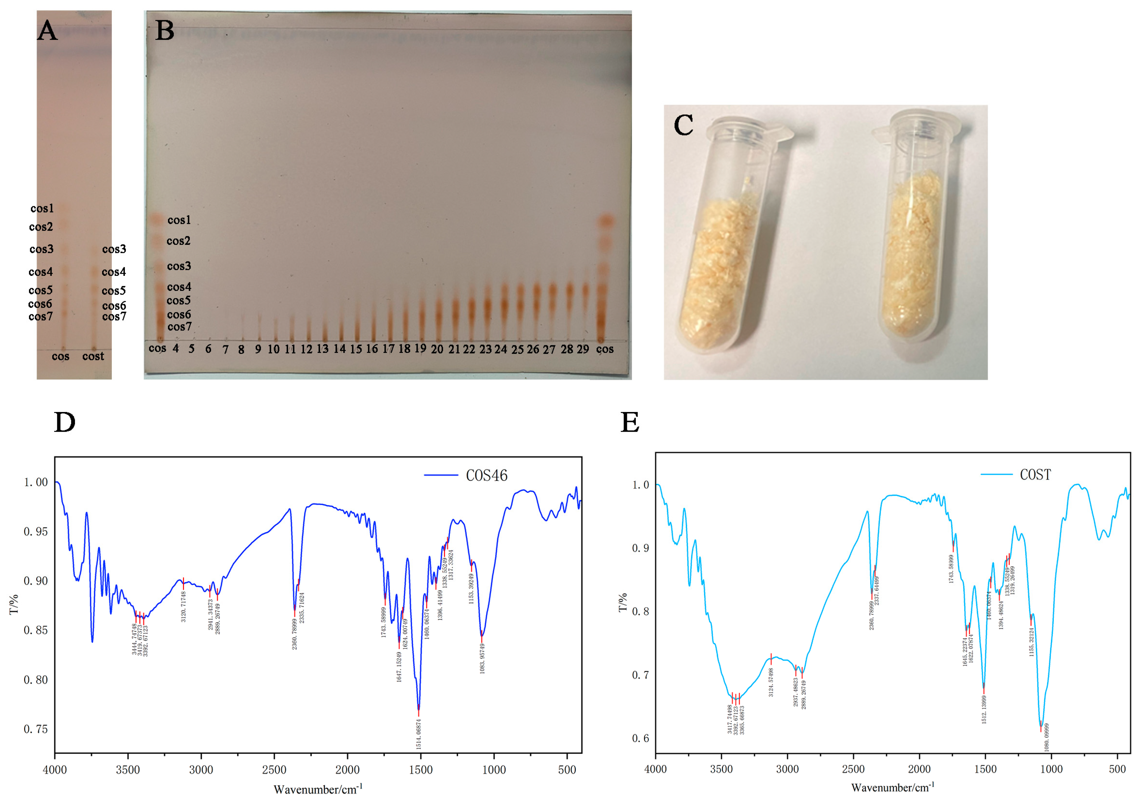 Isolation and Purification of Chitosan Oligosaccharides (Mw
