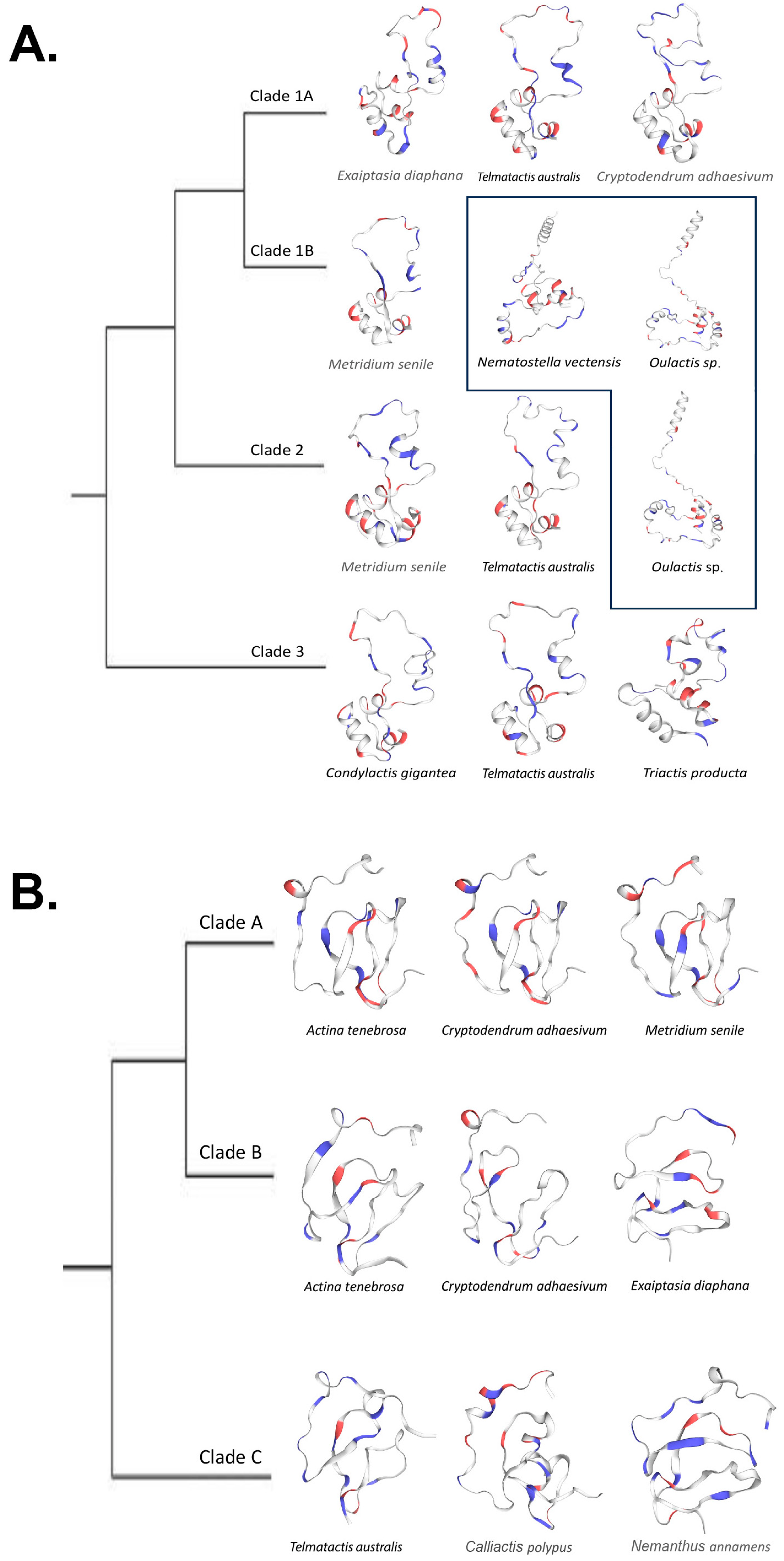 Marinedrugs 22 00136 g006