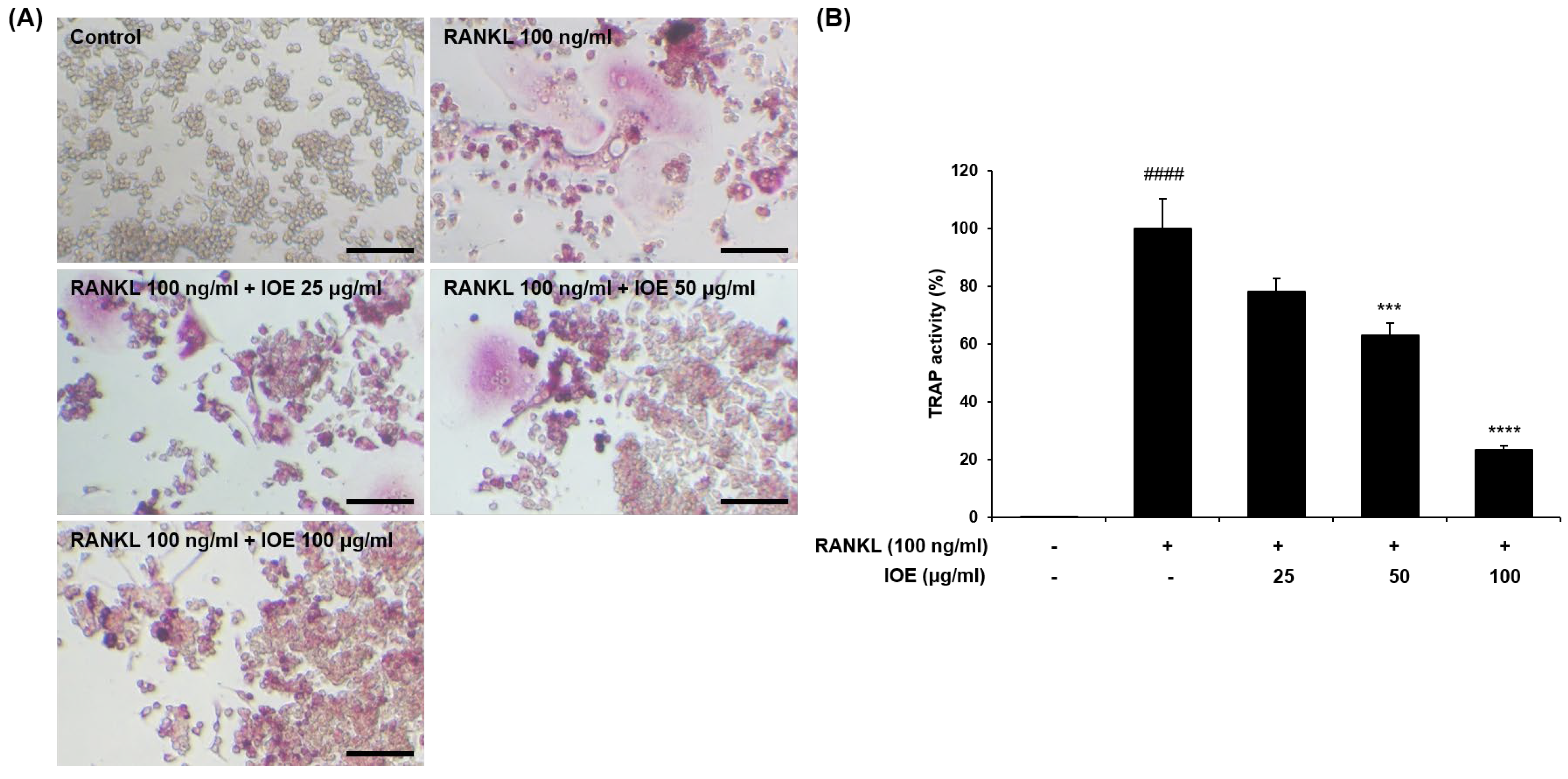 Marinedrugs 22 00137 g002
