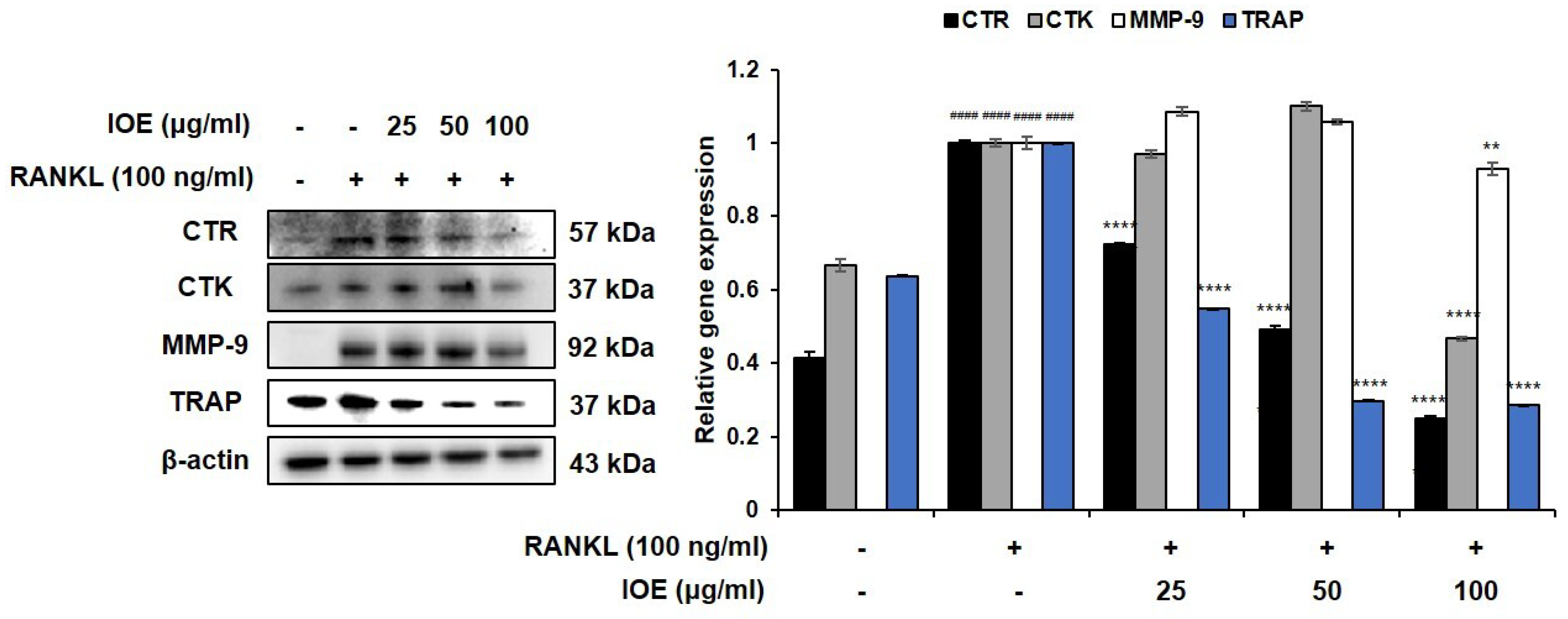 Marinedrugs 22 00137 g003