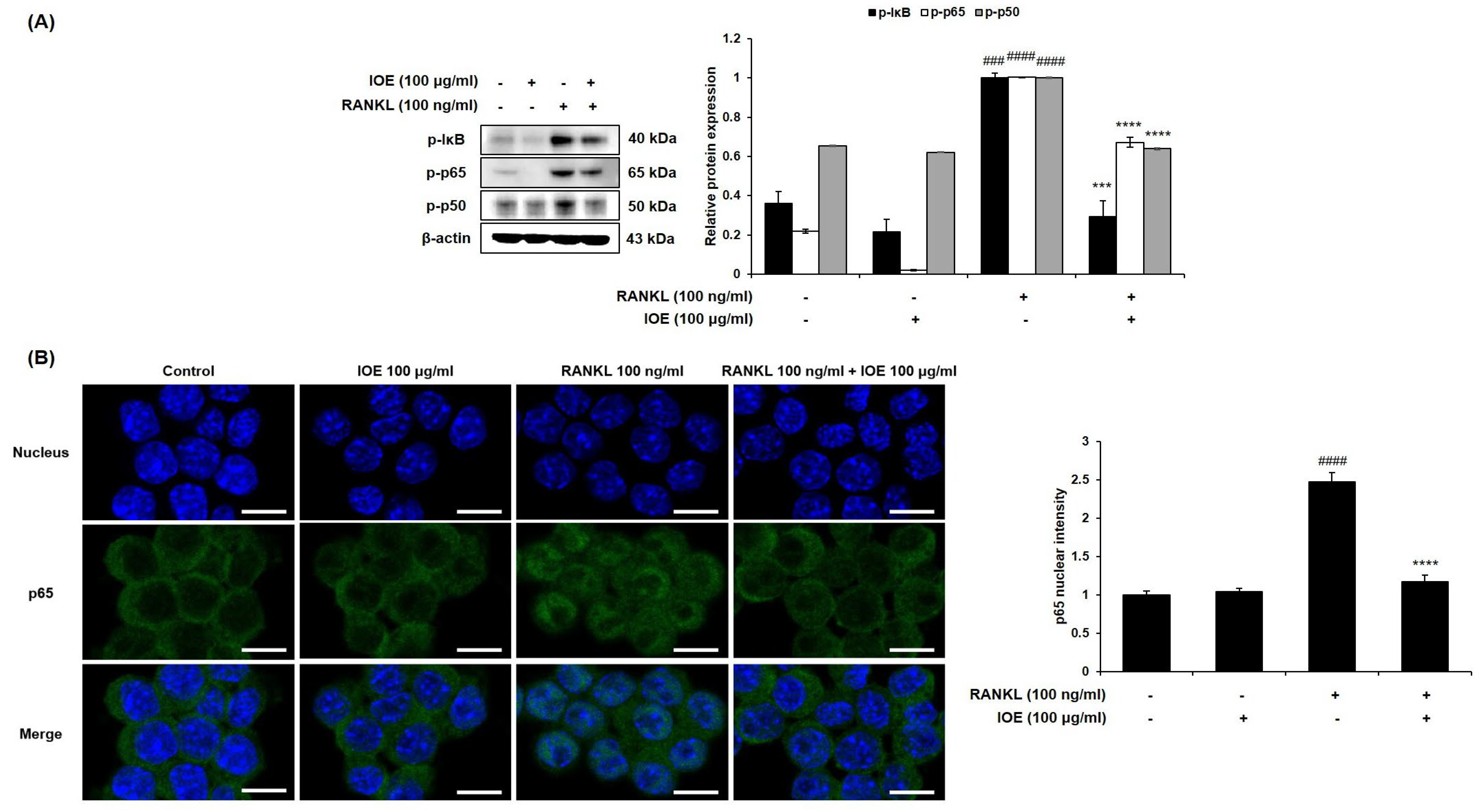 Marinedrugs 22 00137 g006