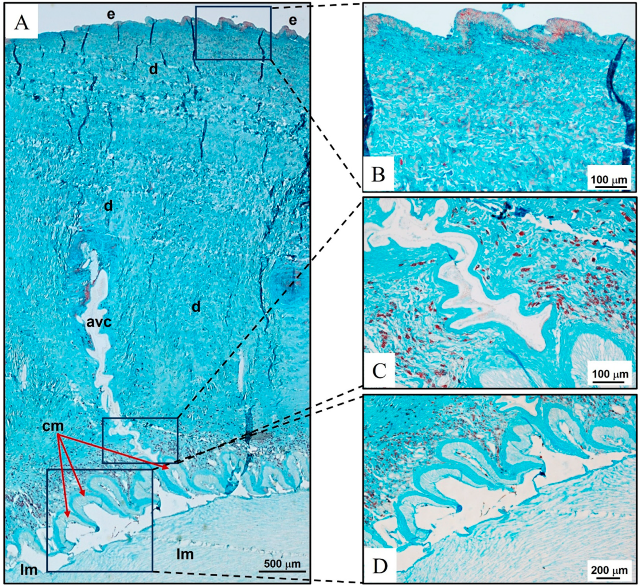 Marinedrugs 22 00139 g002