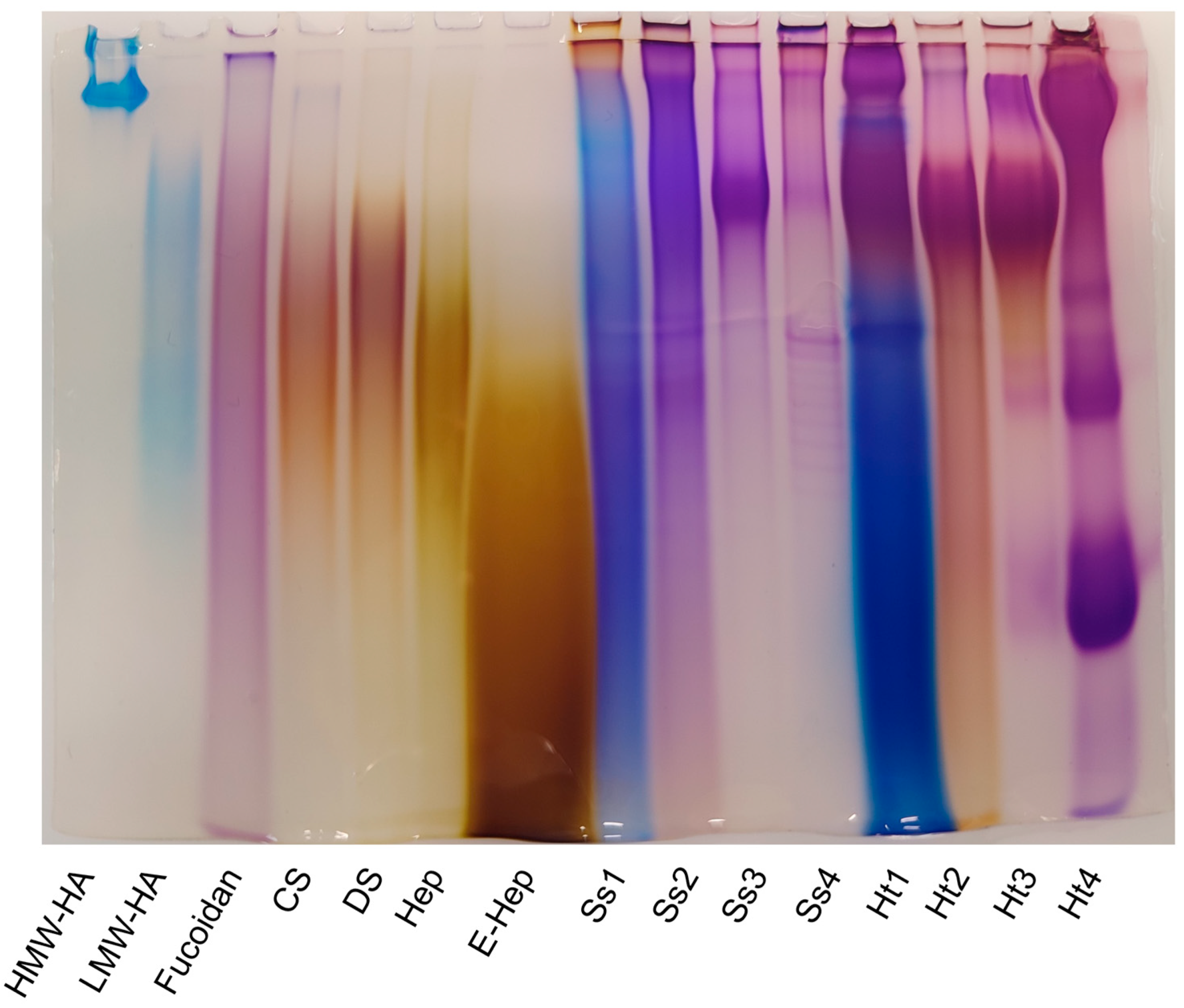 Marinedrugs 22 00139 g003