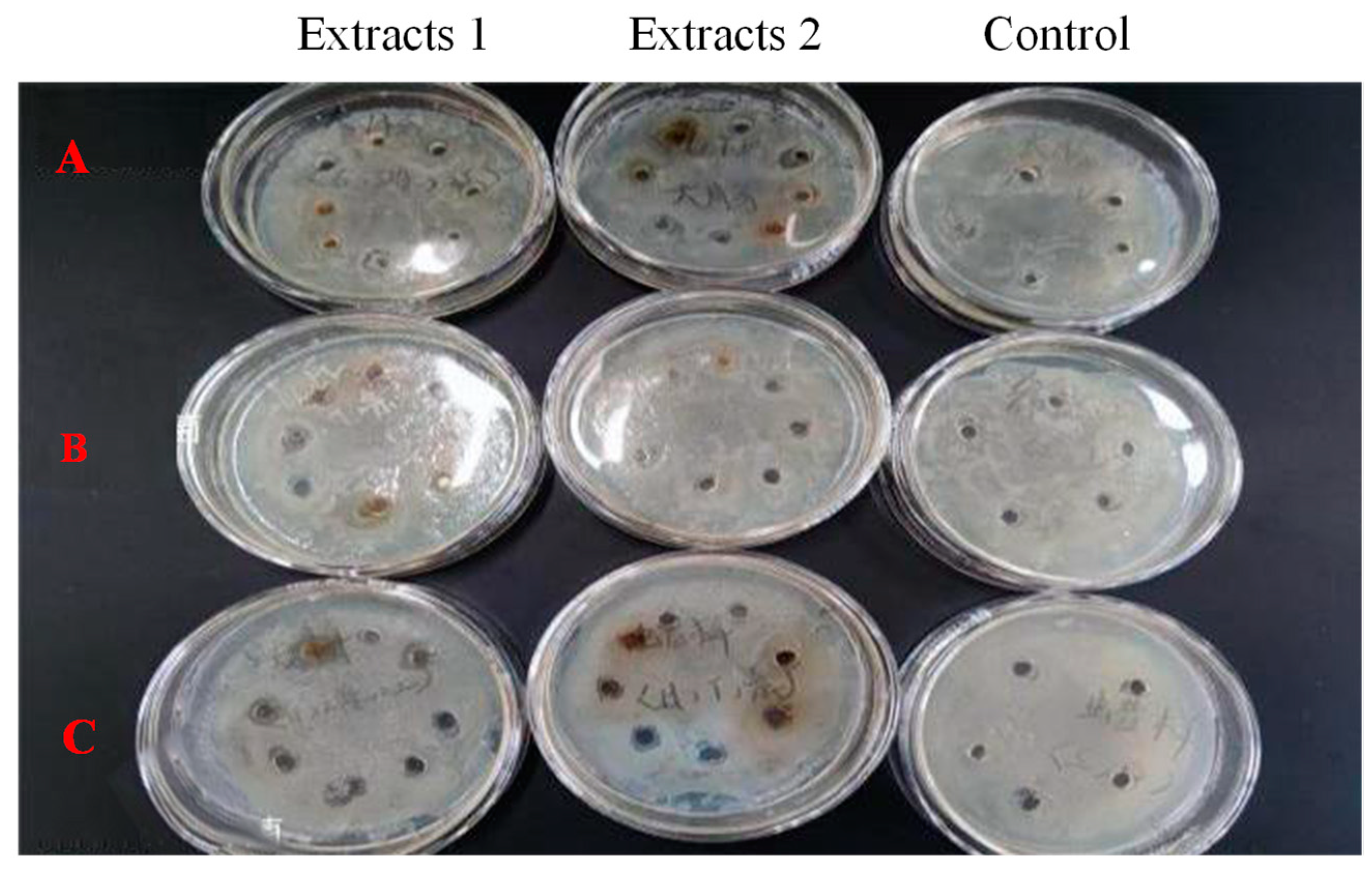 Marinedrugs 22 00144 g006