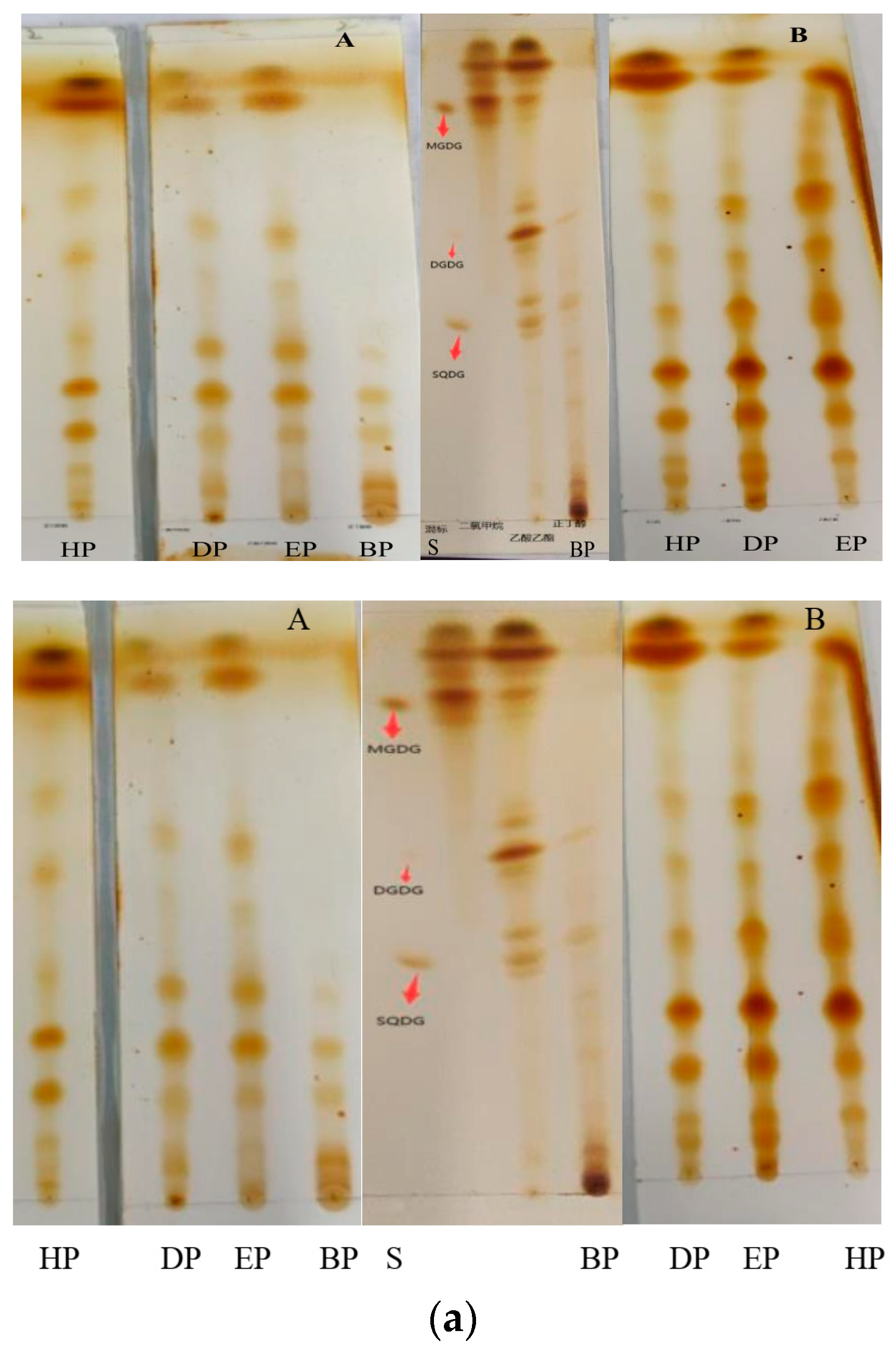 Marinedrugs 22 00144 g008a