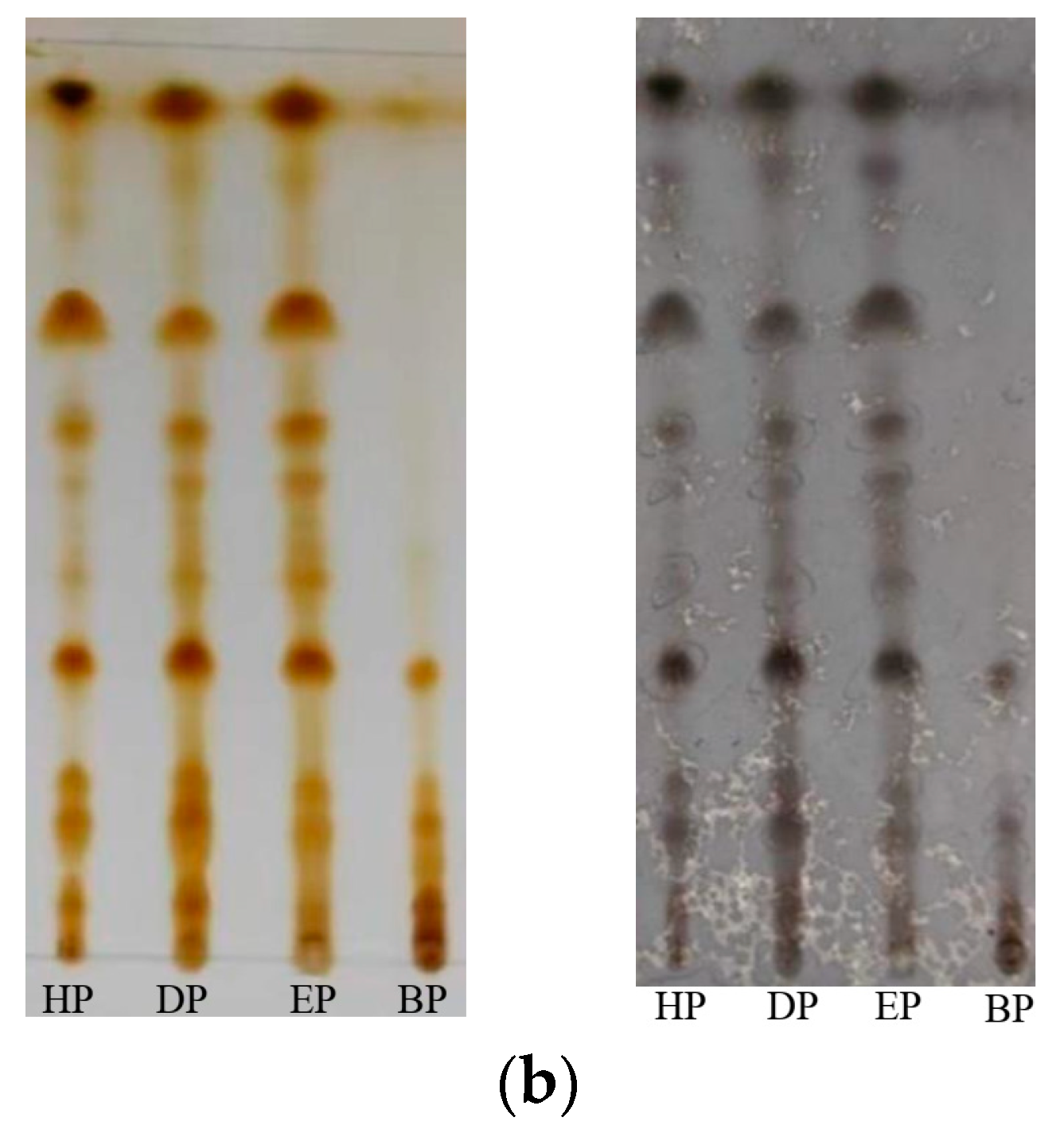 Marinedrugs 22 00144 g008b