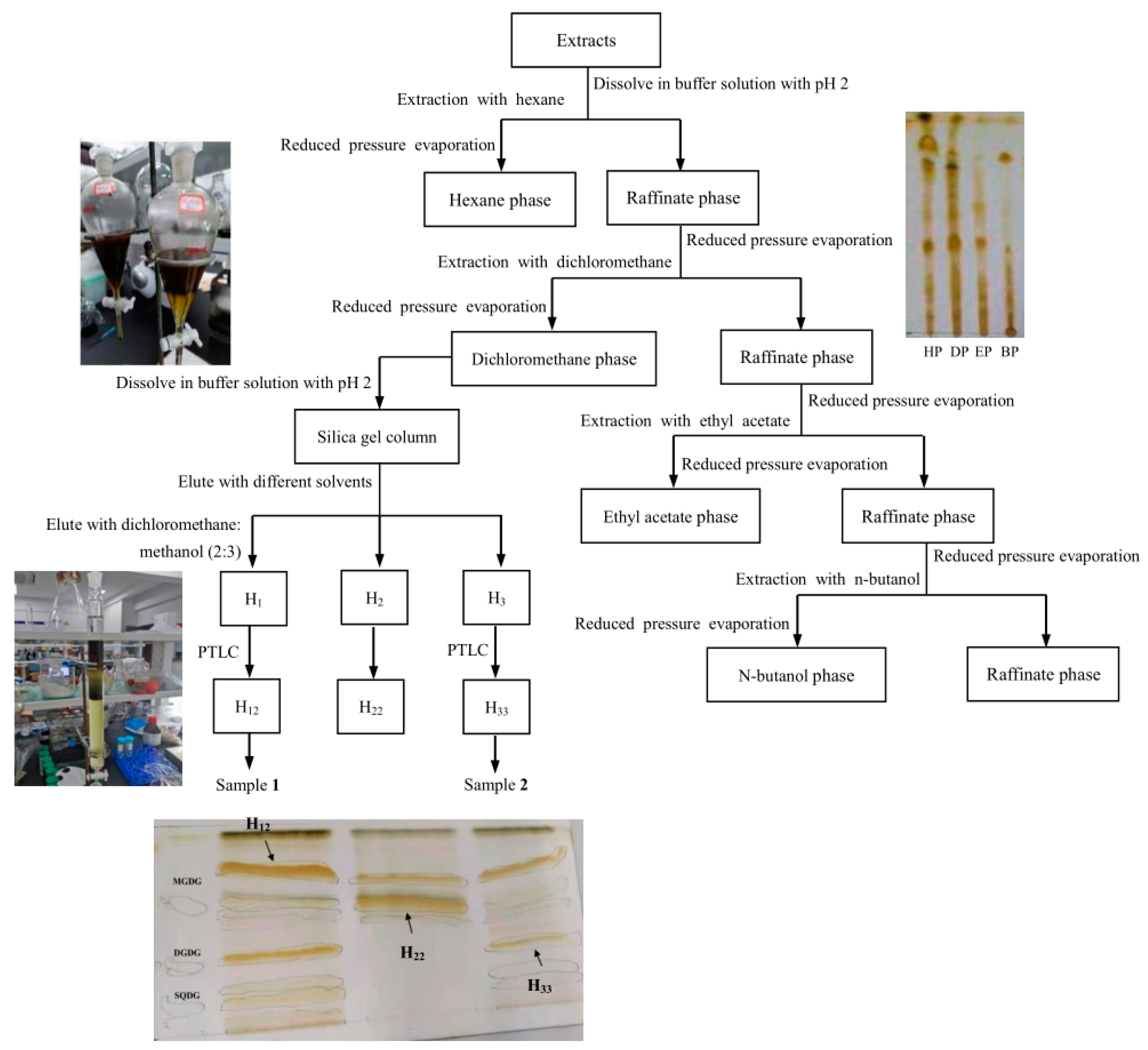 Marinedrugs 22 00144 g009
