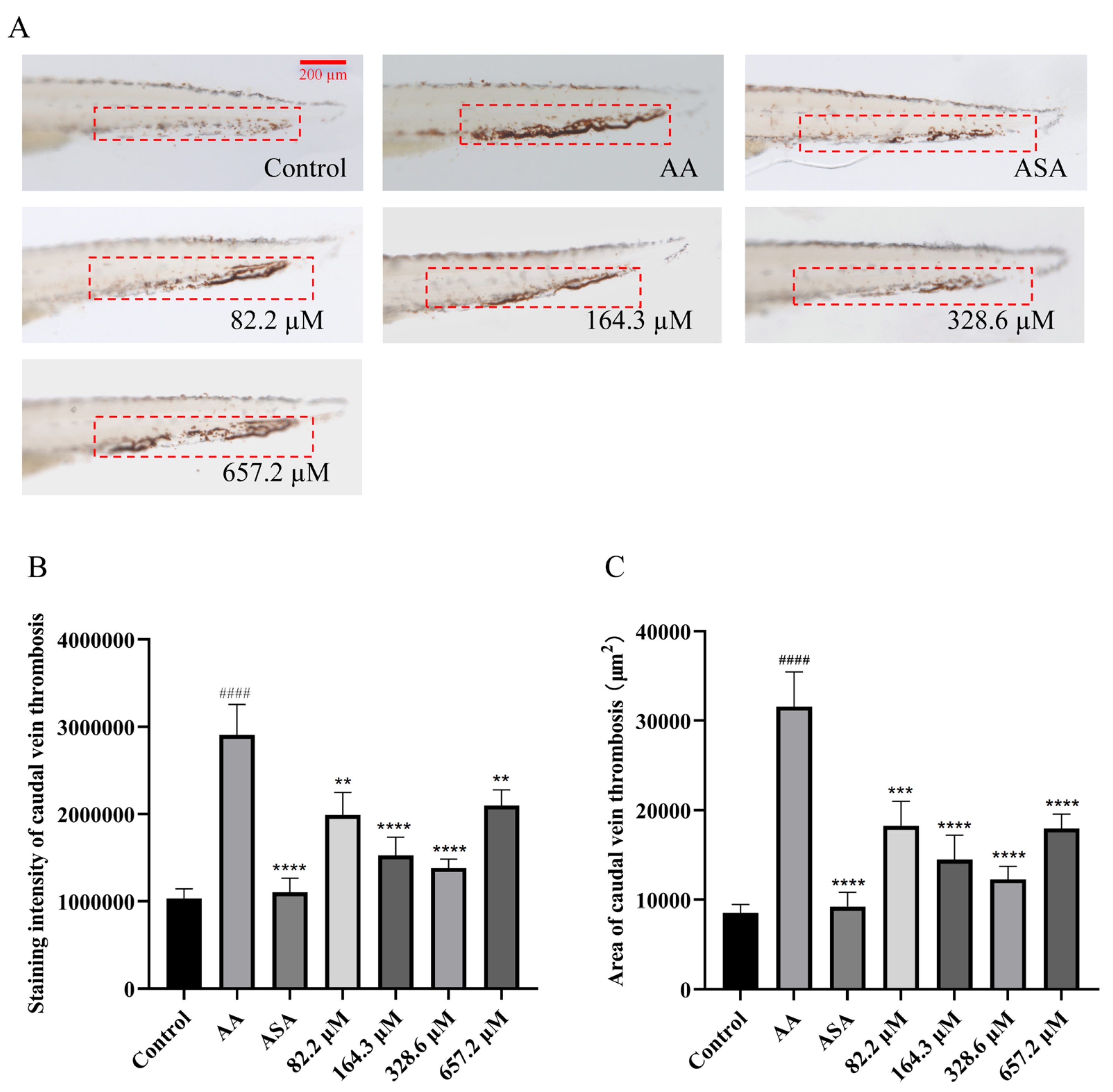 Marinedrugs 22 00148 g003