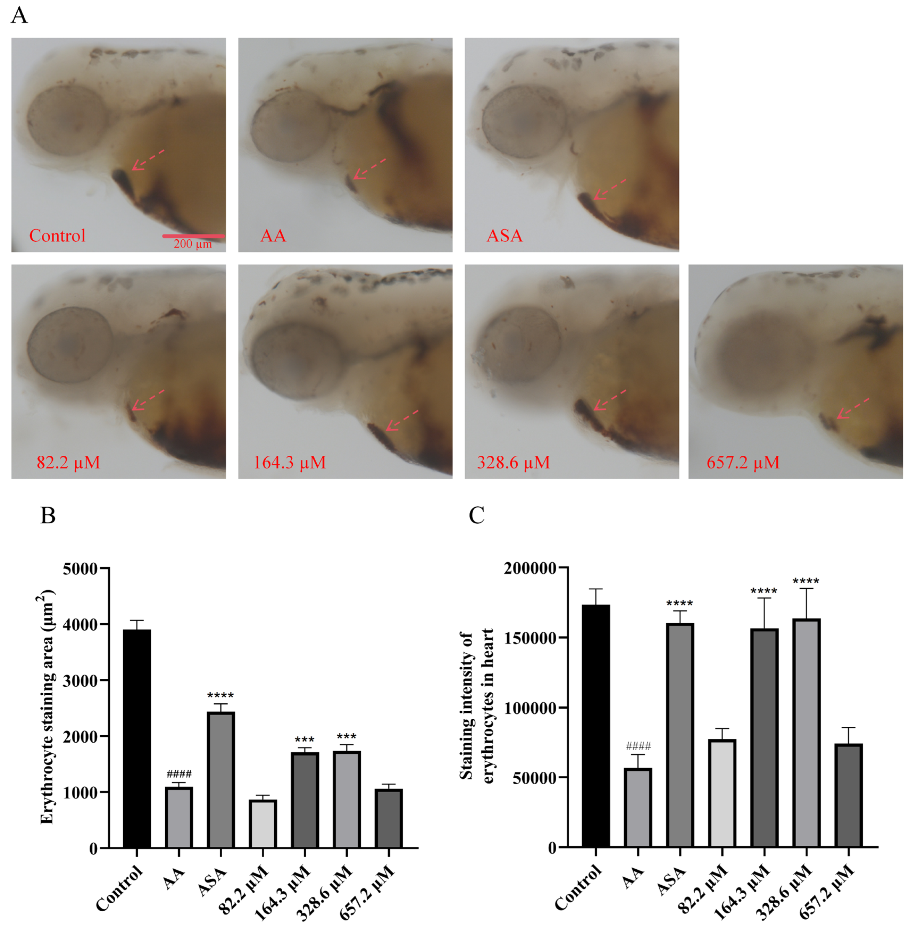 Marinedrugs 22 00148 g004