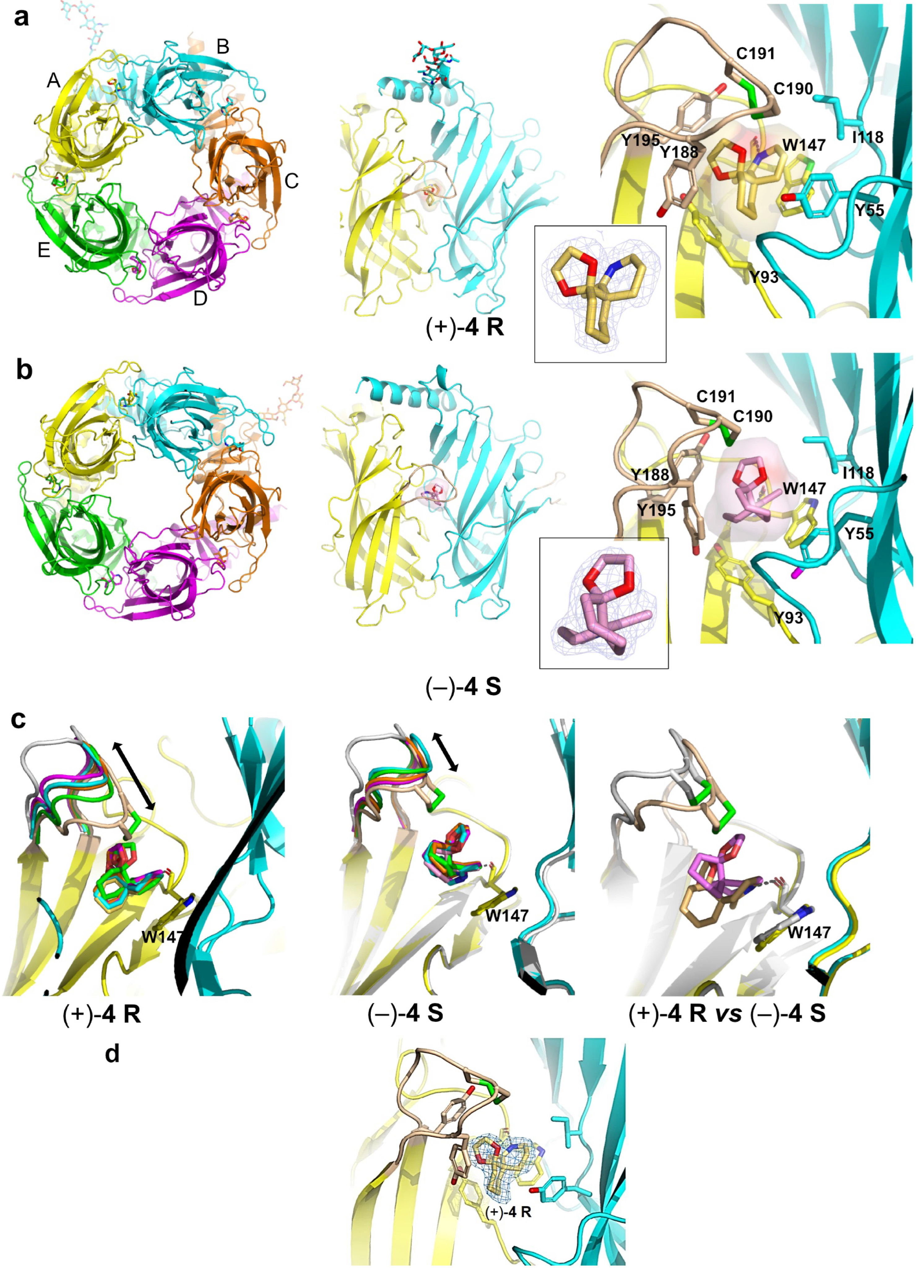 Marinedrugs 22 00149 g004